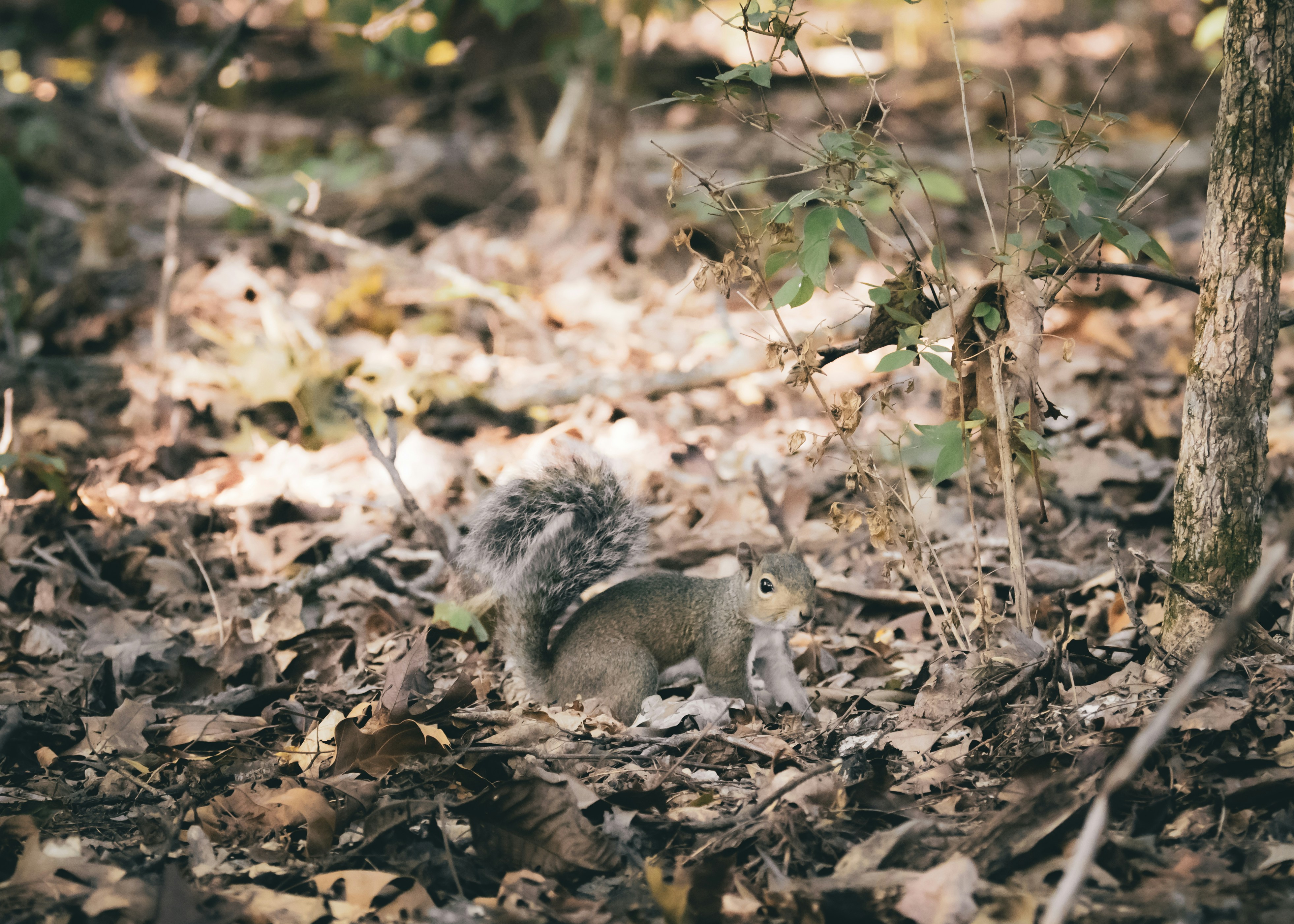 Photo by fieldworkframes