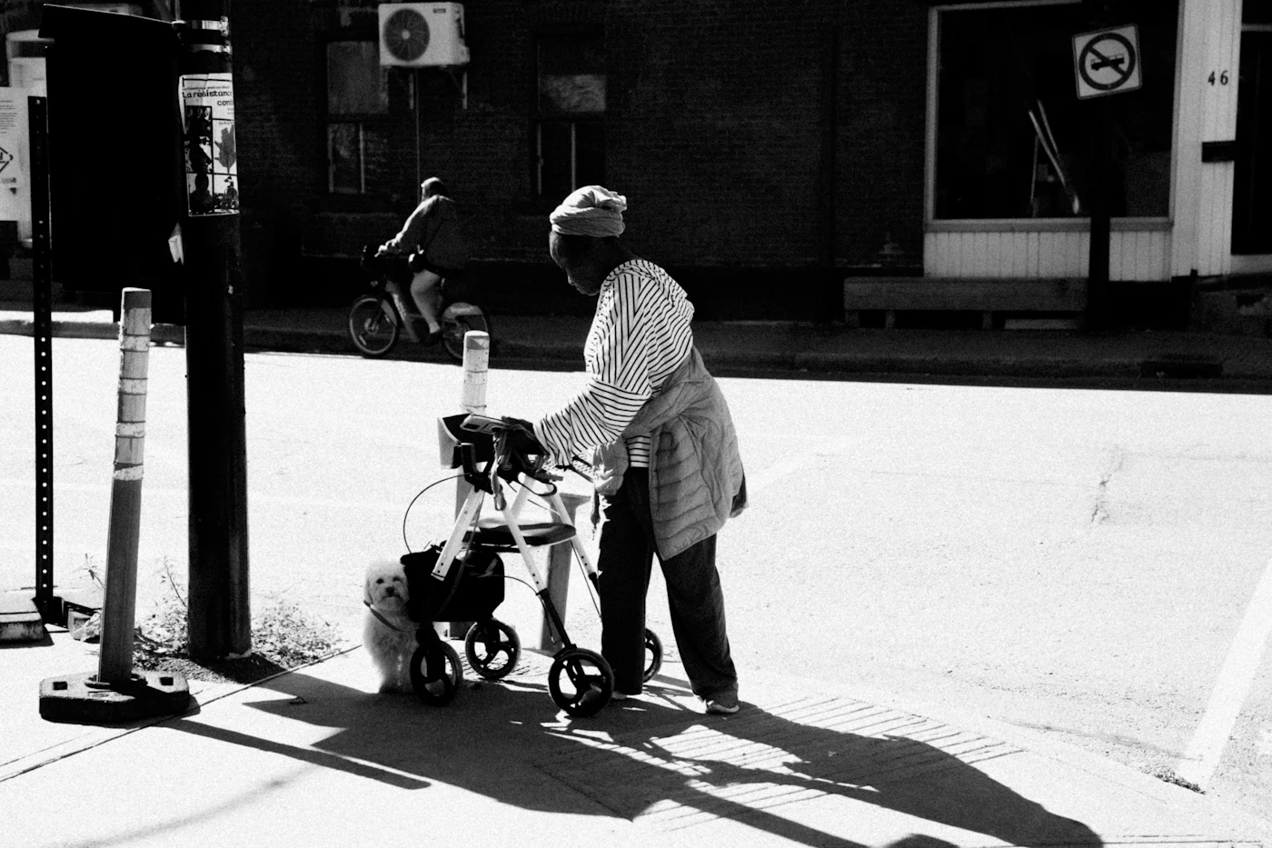 An older person walking with a mobility aid alongside a small steady dog on a city sidewalk