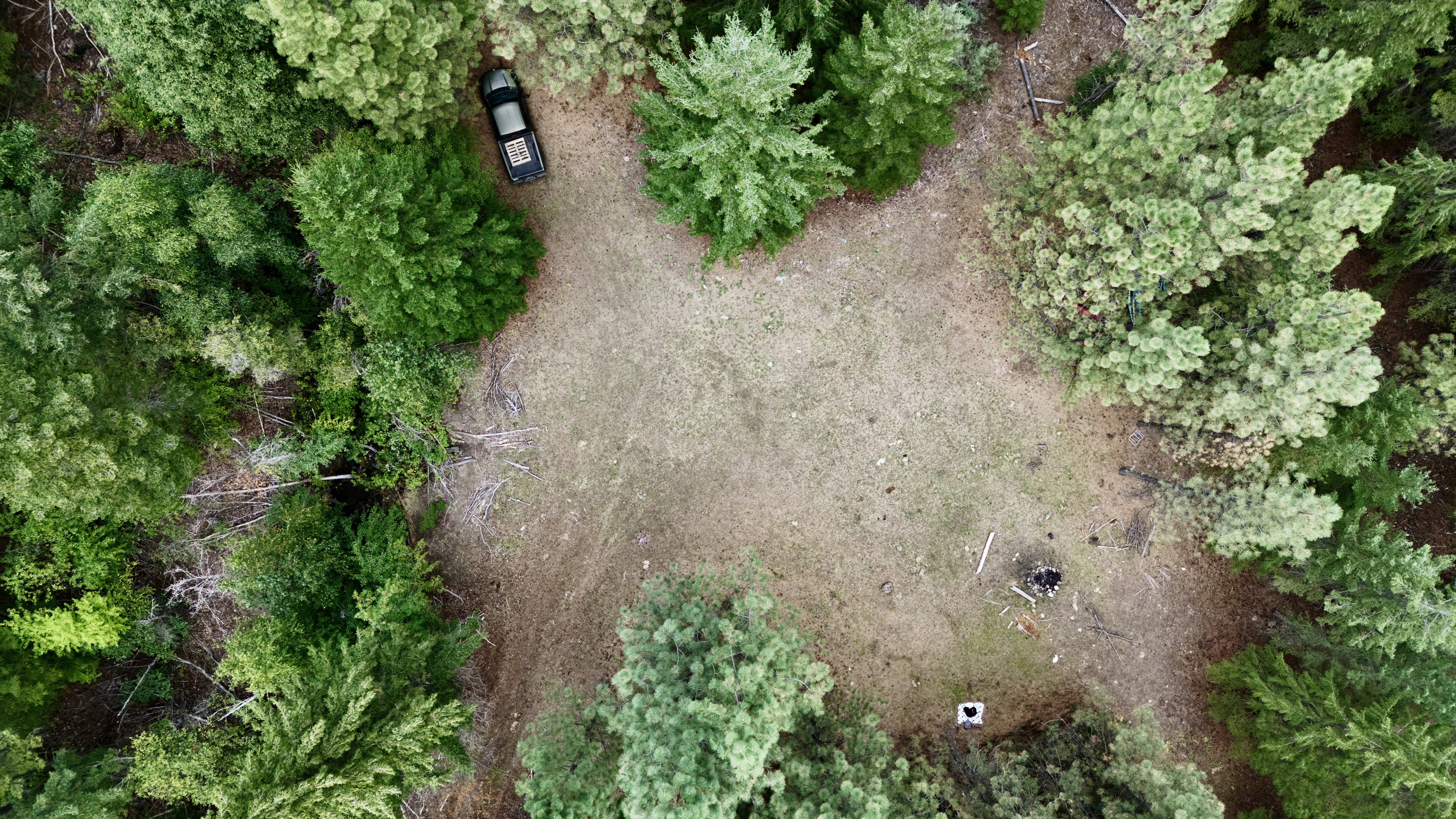 Aerial view of a clearing in a pine forest.