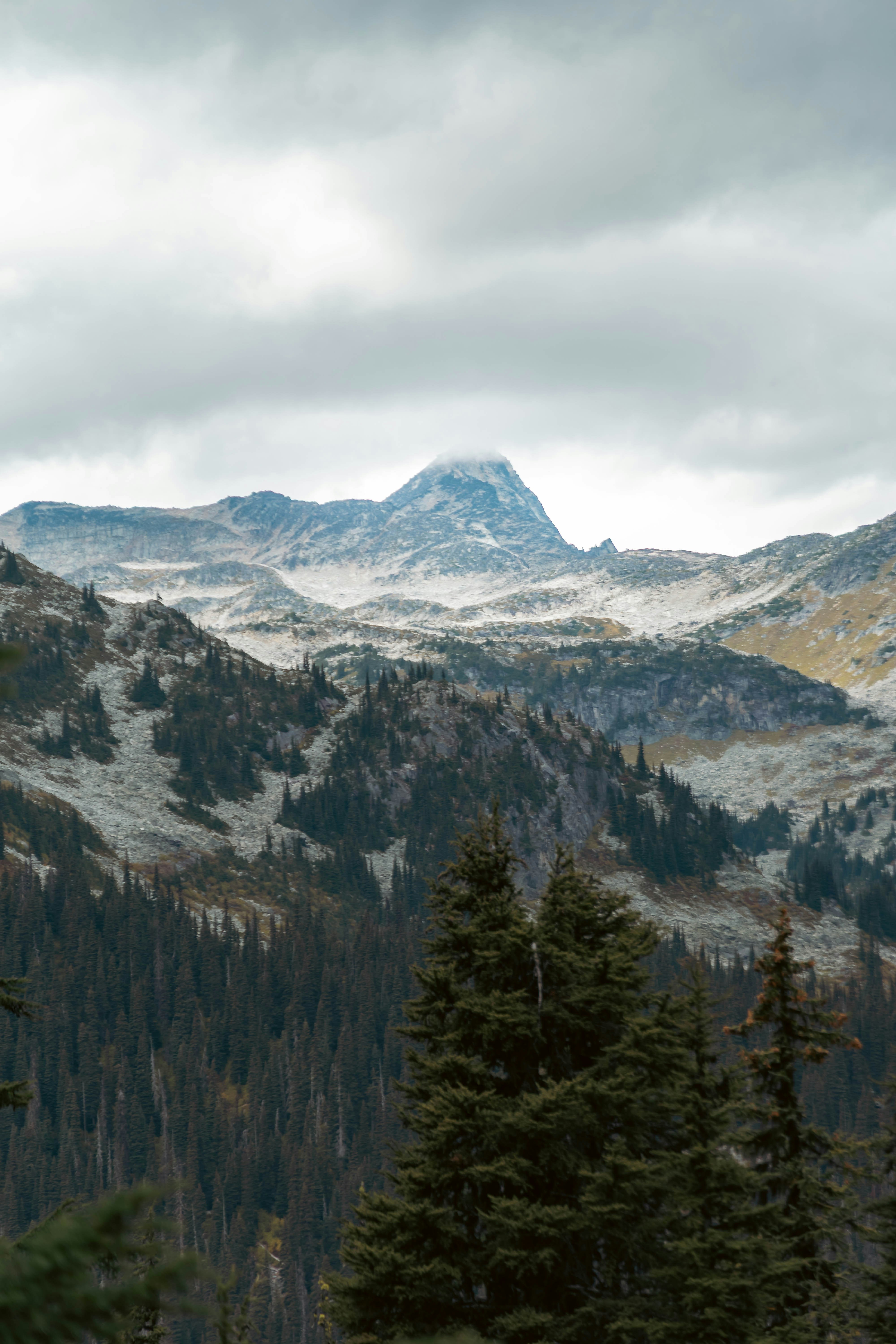 Photo by carbonmonoxide