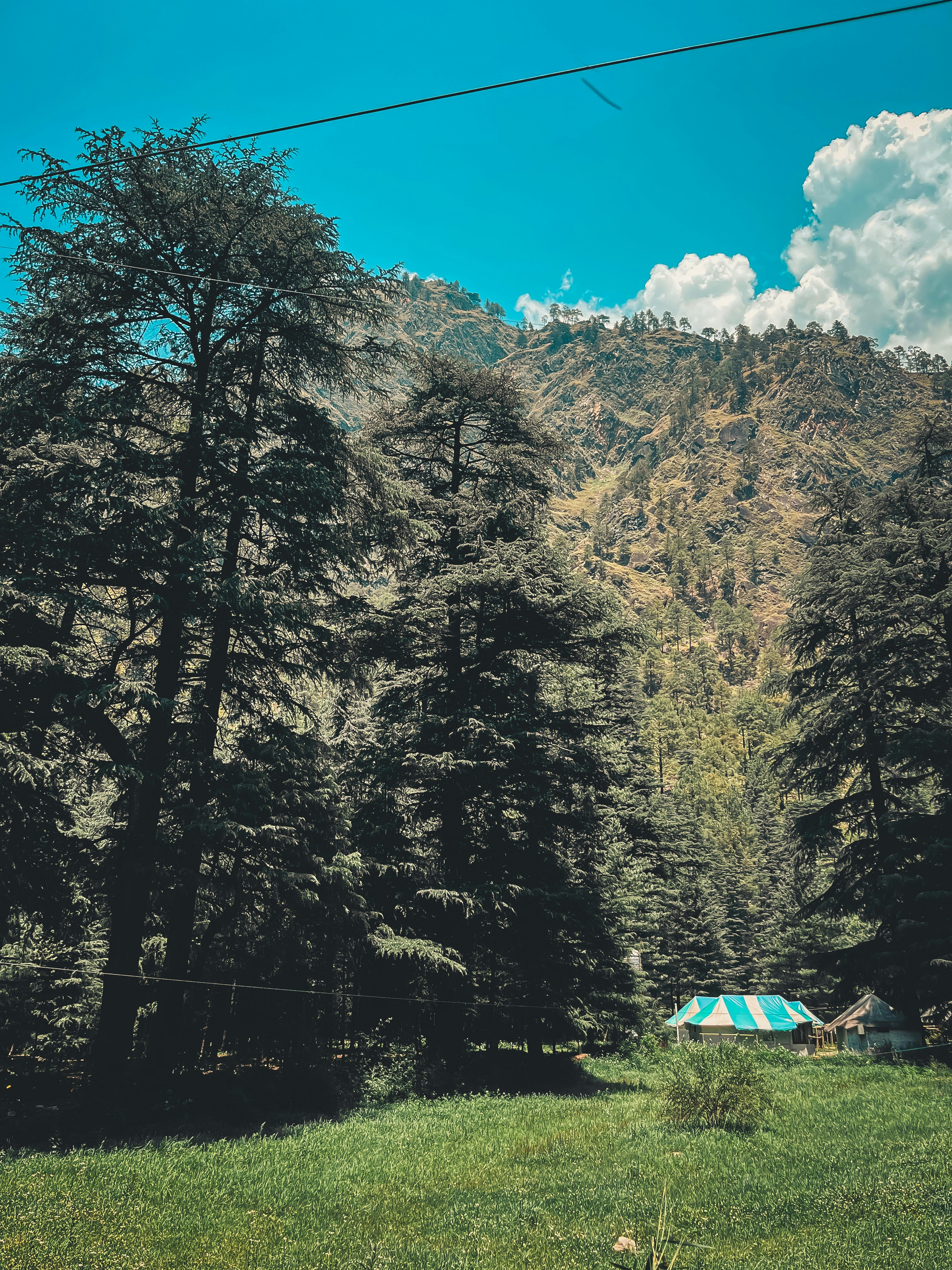 Tents nestled in a lush green forest with mountains.