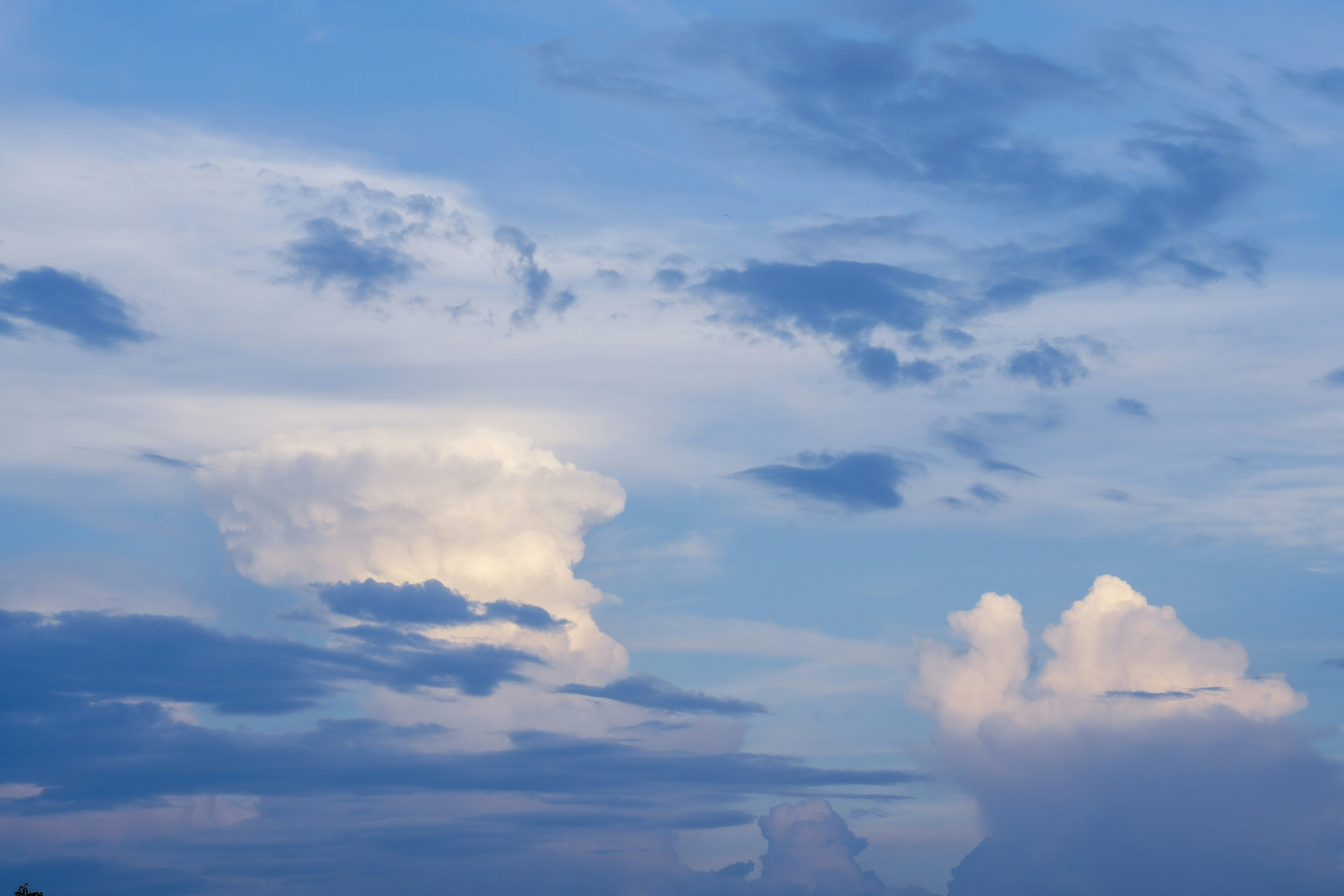 Photo by ghazalglimpses