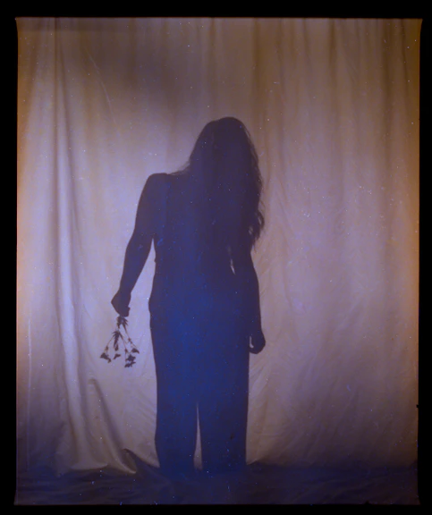 Silhouette of a woman holding dried flowers