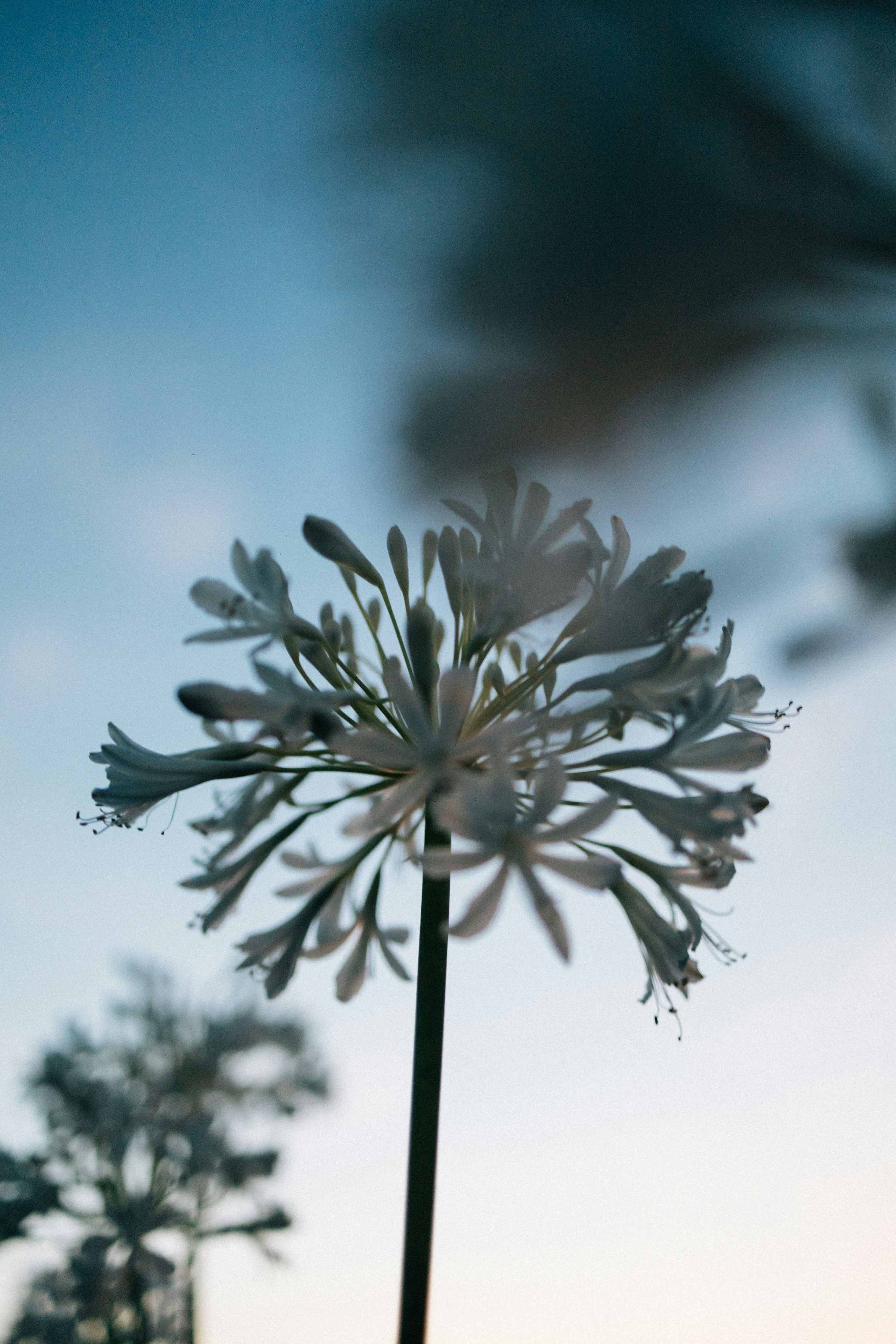 Photo by tsuyoshikozu