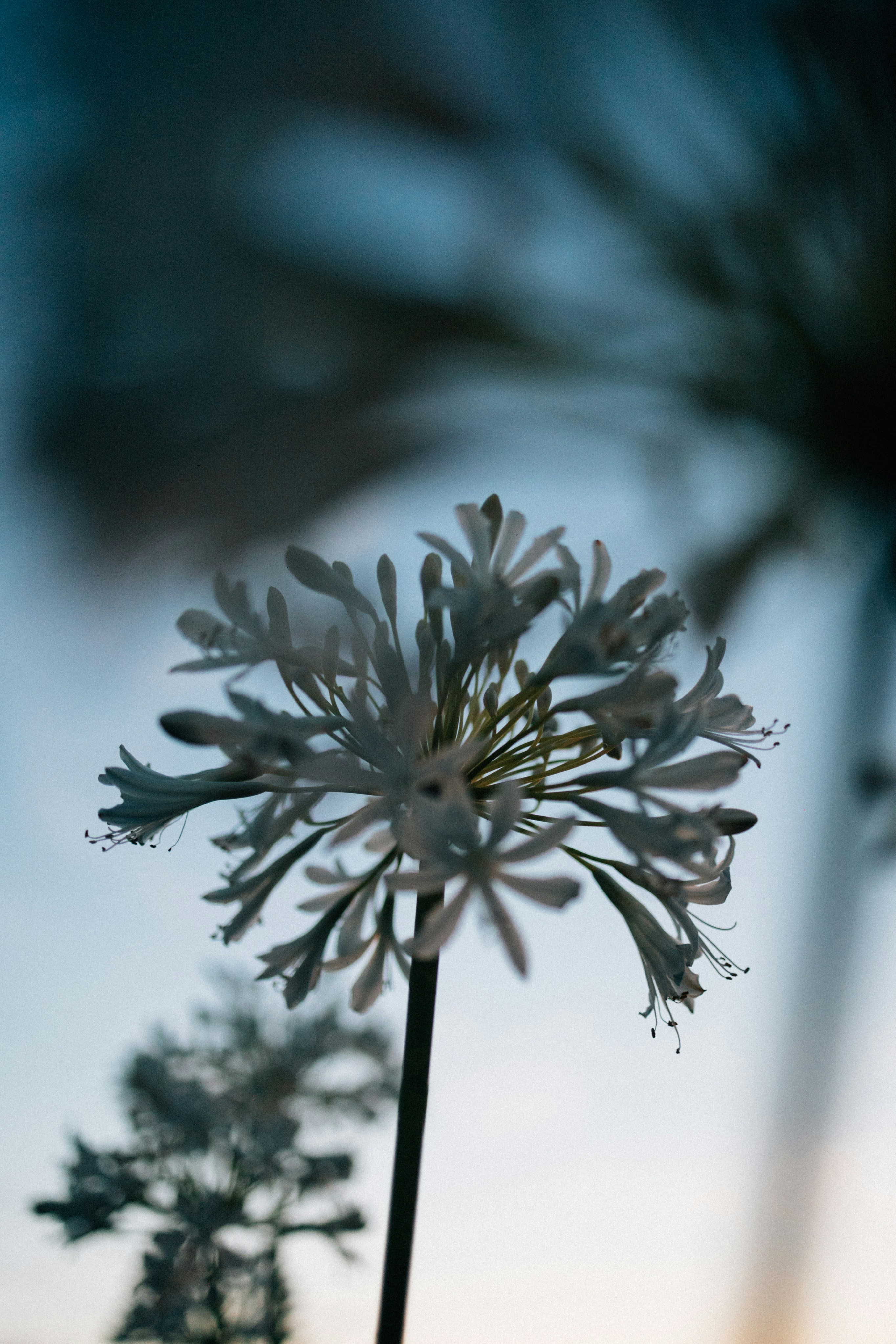 Photo by tsuyoshikozu