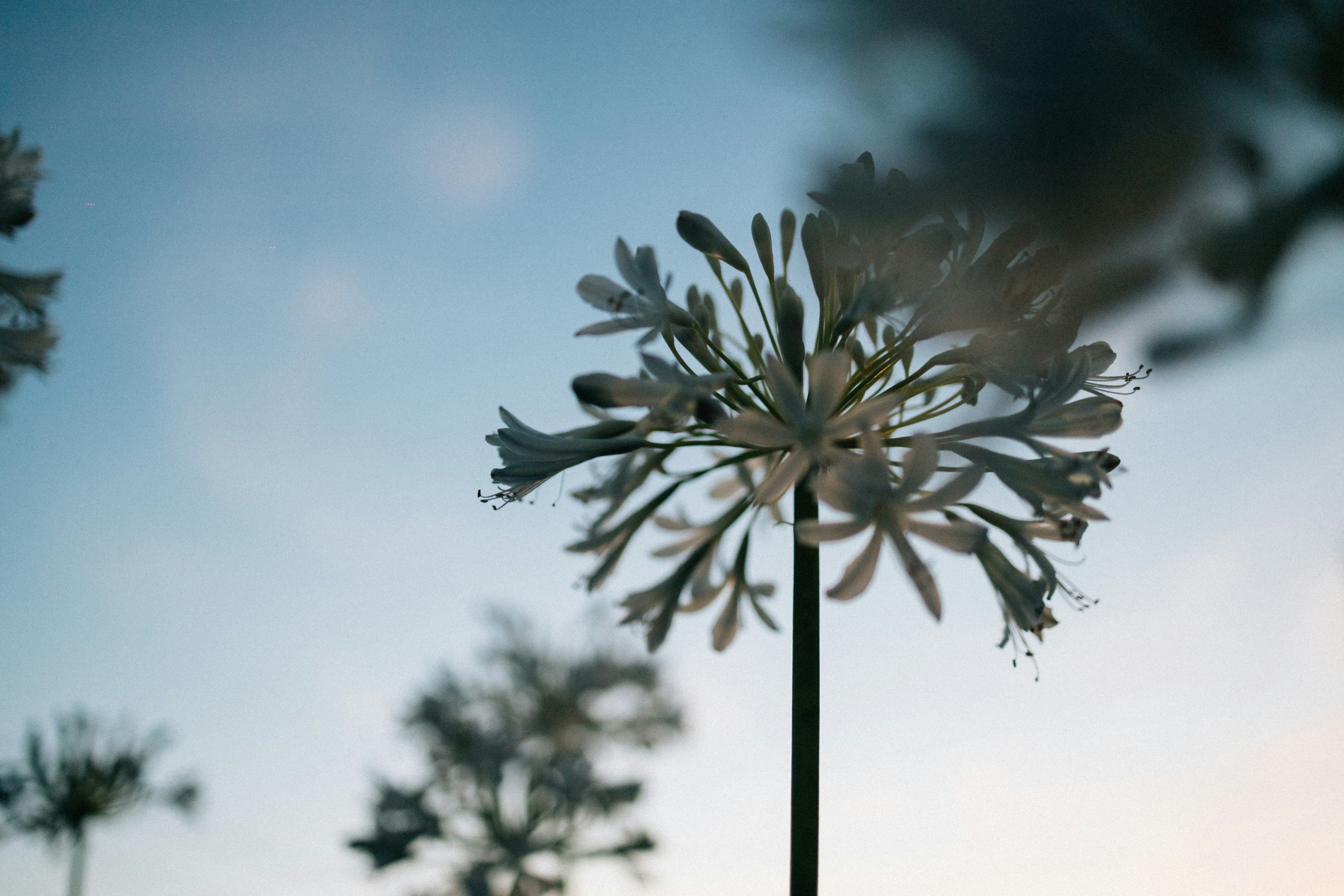 Photo by tsuyoshikozu