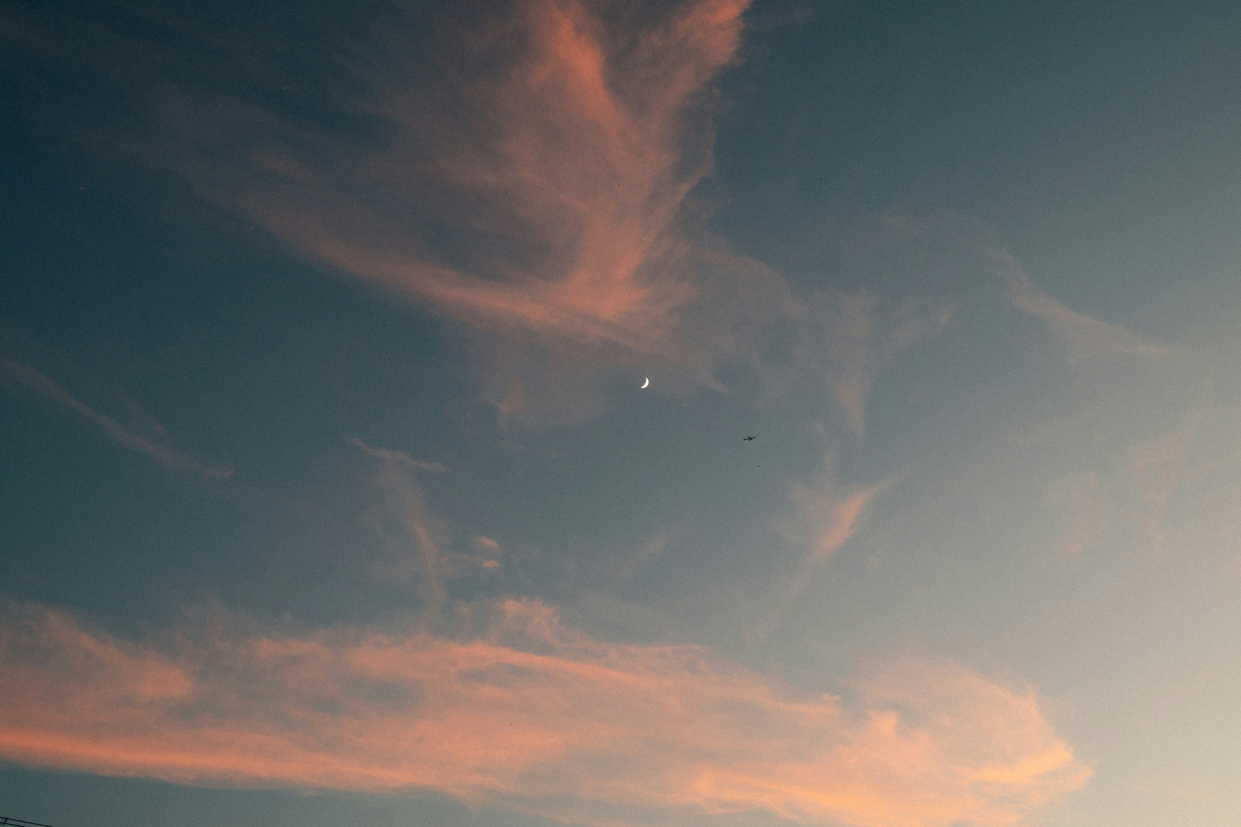 Photo by tsuyoshikozu