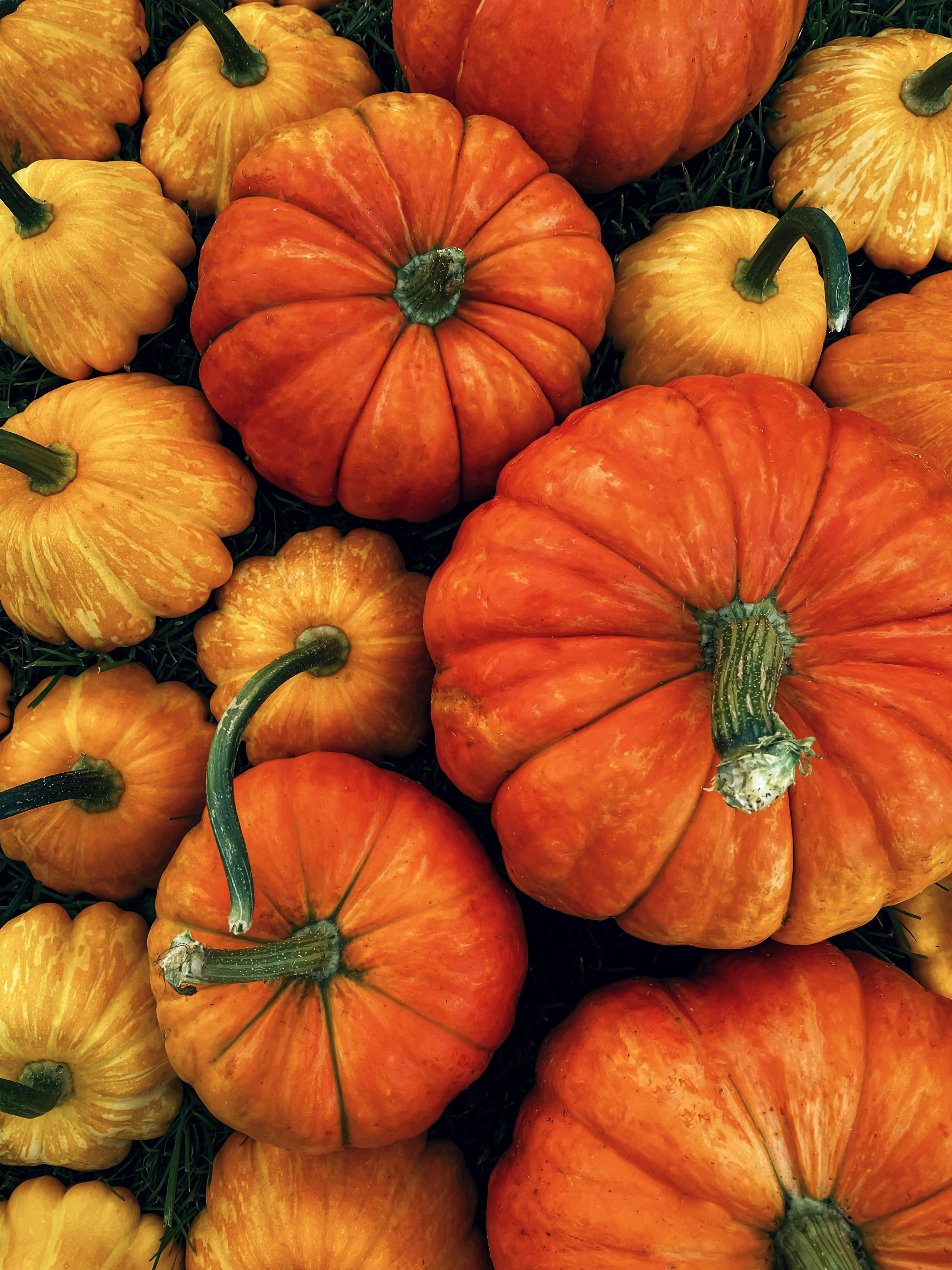 Photo by eugene_golovesov