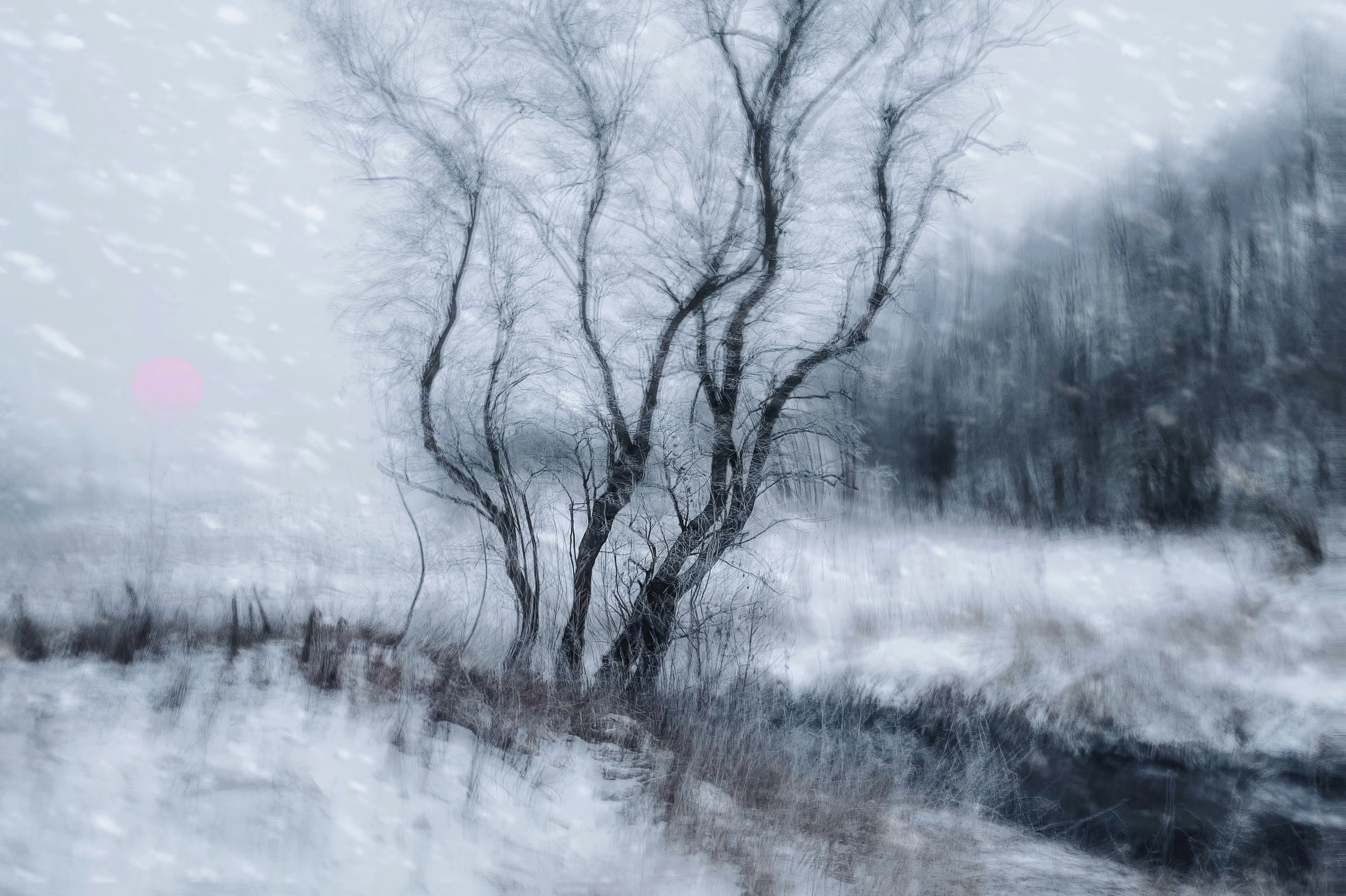 Photo by eugene_golovesov