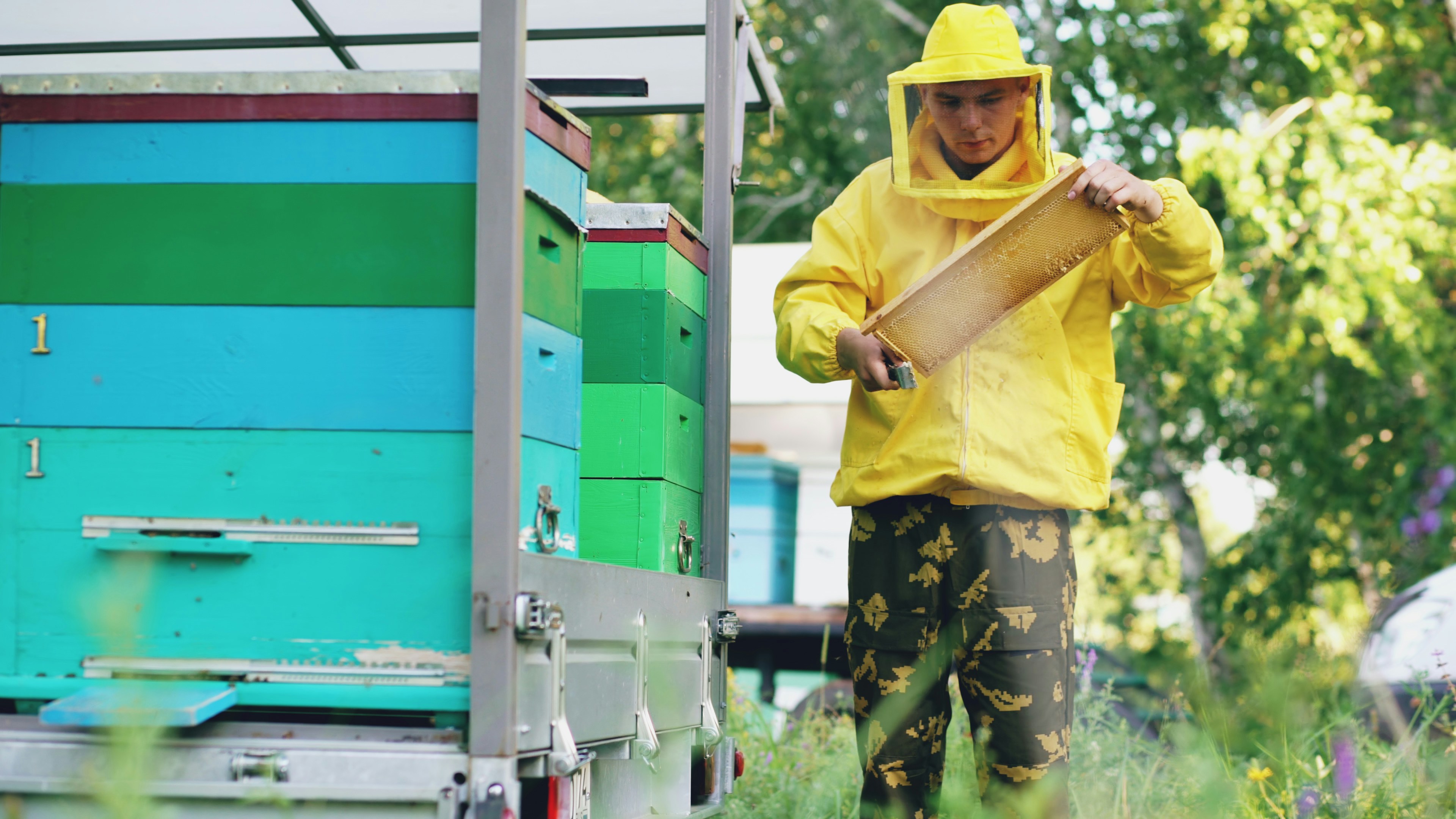 Expert beekeeper at our farm