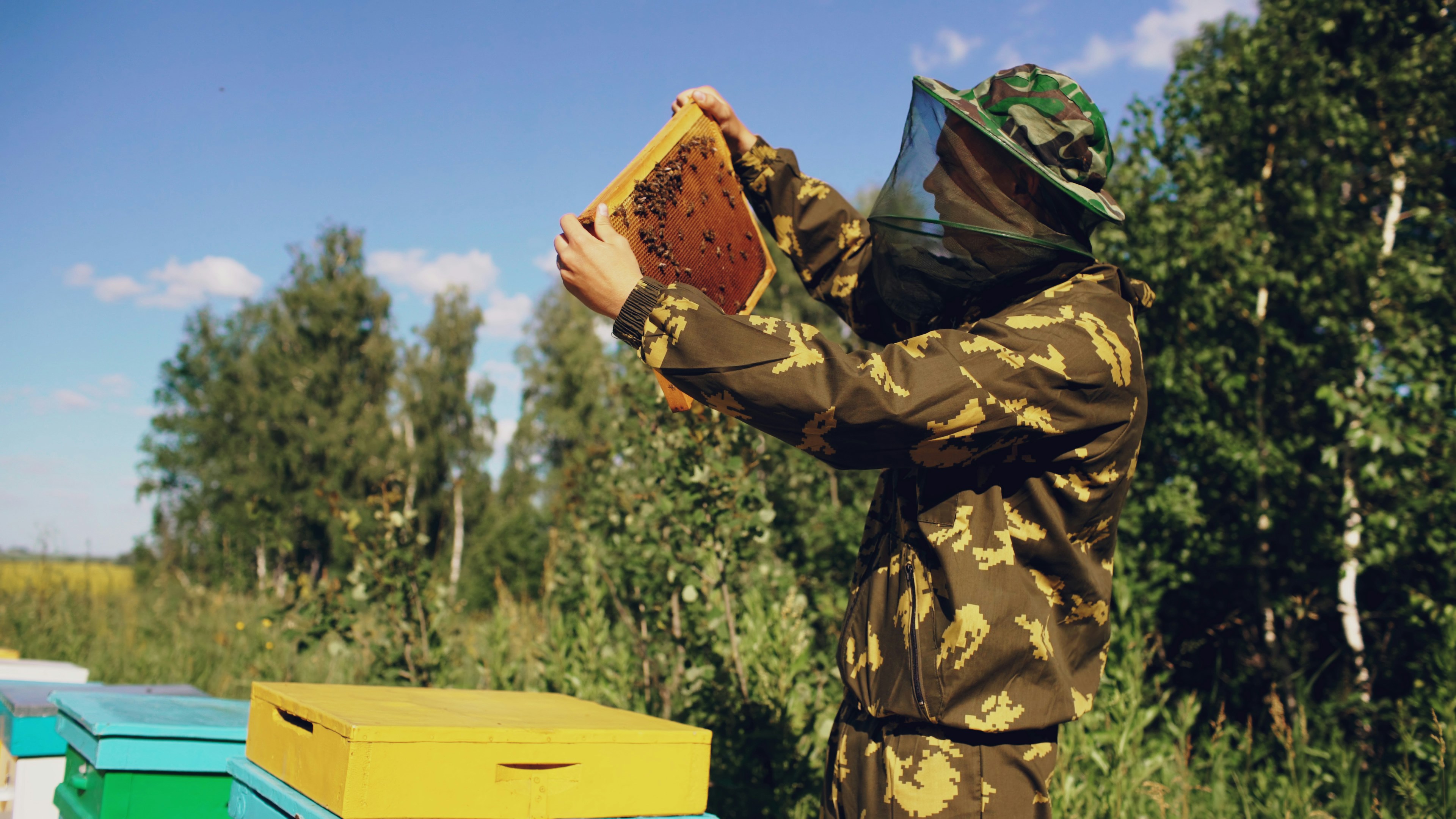 Beekeeper inspecting a honeycomb frame outdoors.