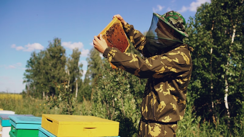 Beekeeper at work