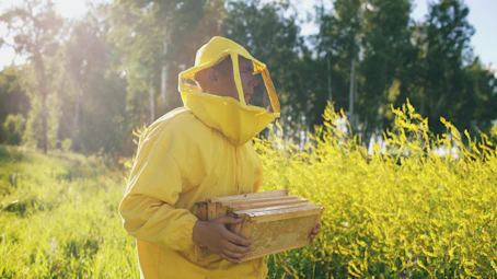 Beekeeper in yellow suit carrying honeycomb frames