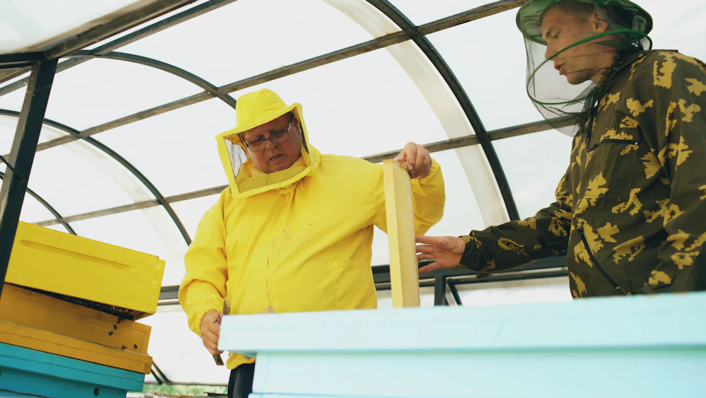 Beekeepers in protective suits working a row of hives