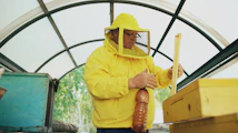 Beekeeper in yellow suit working with beehives