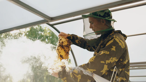 Beekeeper holds honeycomb with bees and smoke