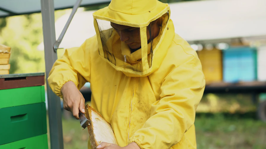Beekeeper in protective suit inspecting a honeycomb frame
