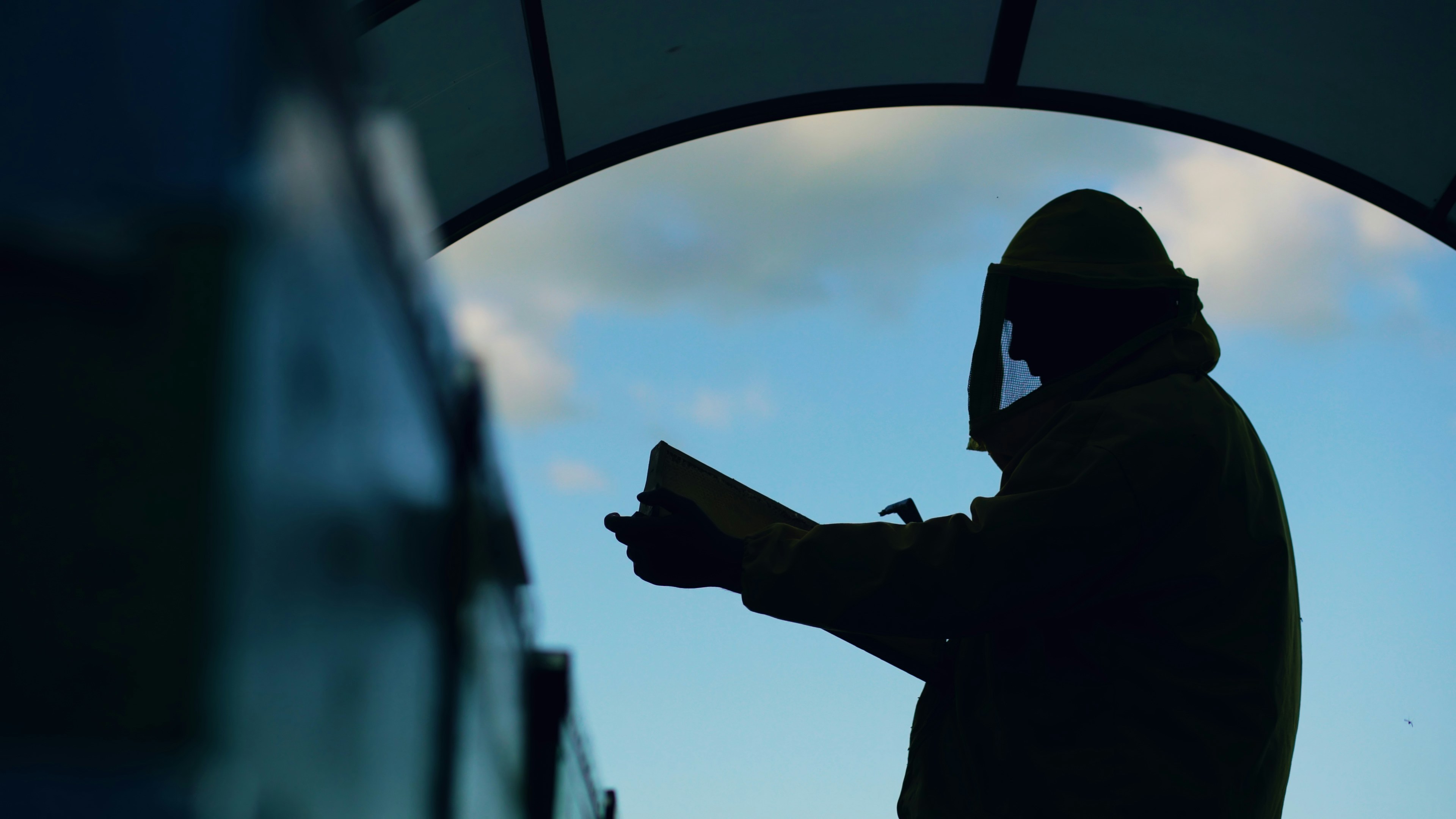 Photo by silverkblack