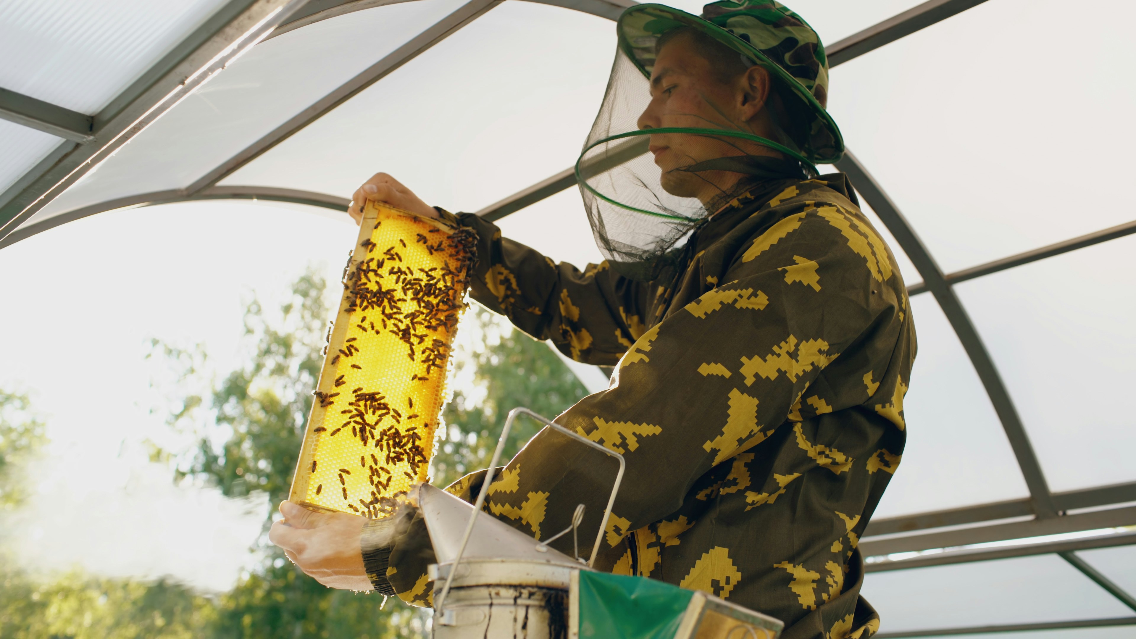 Beekeeper in protective suit examining honeycomb