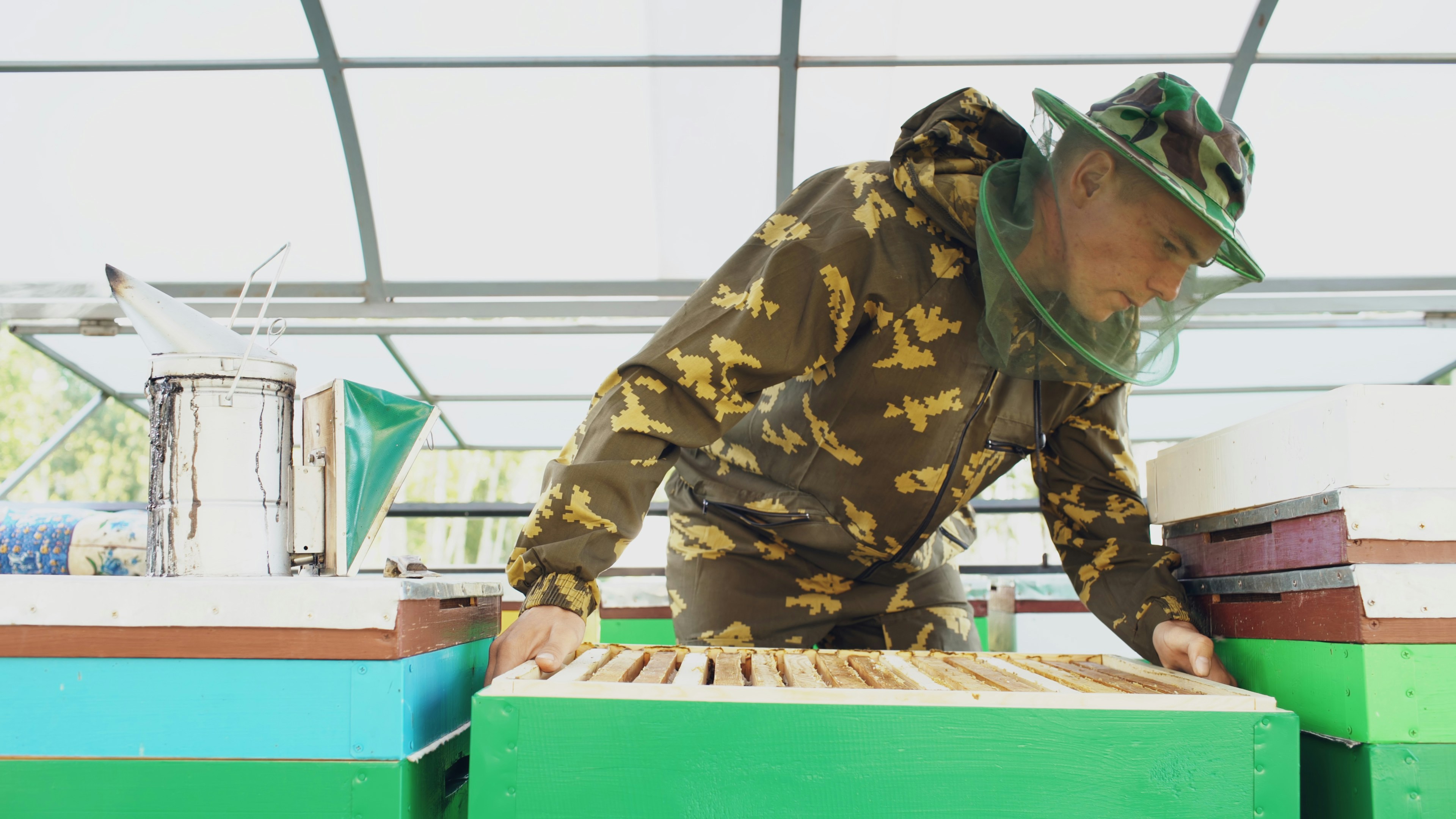 Beekeeper man checking wooden frame before harvesting honey in apiary on summer sunny day
