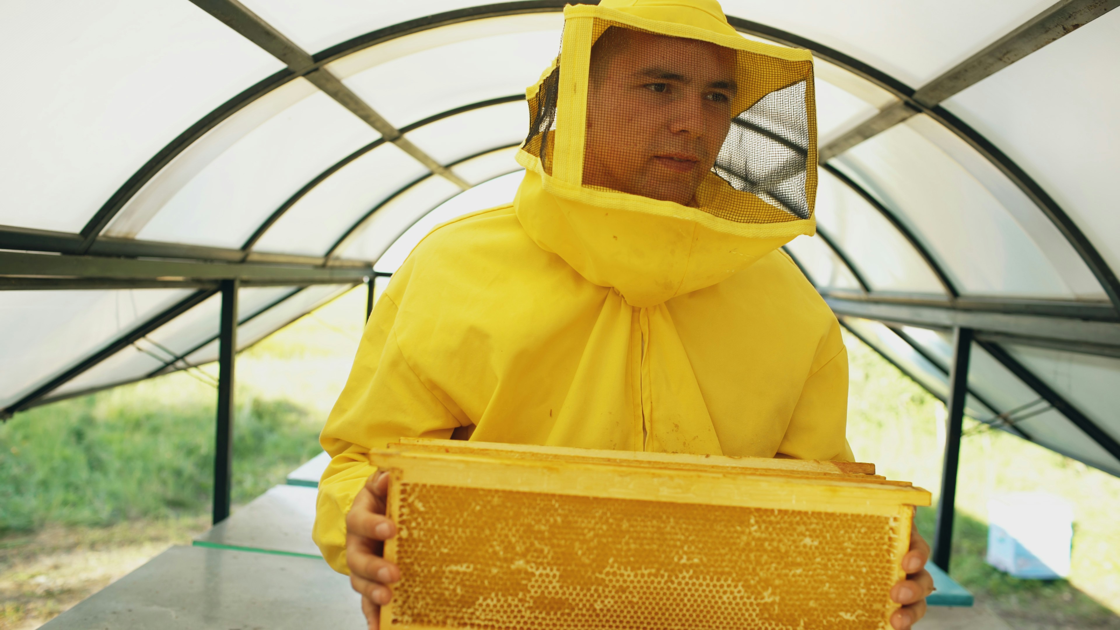 beekeeper man walking with wooden frames working in apiary on summer sunny day