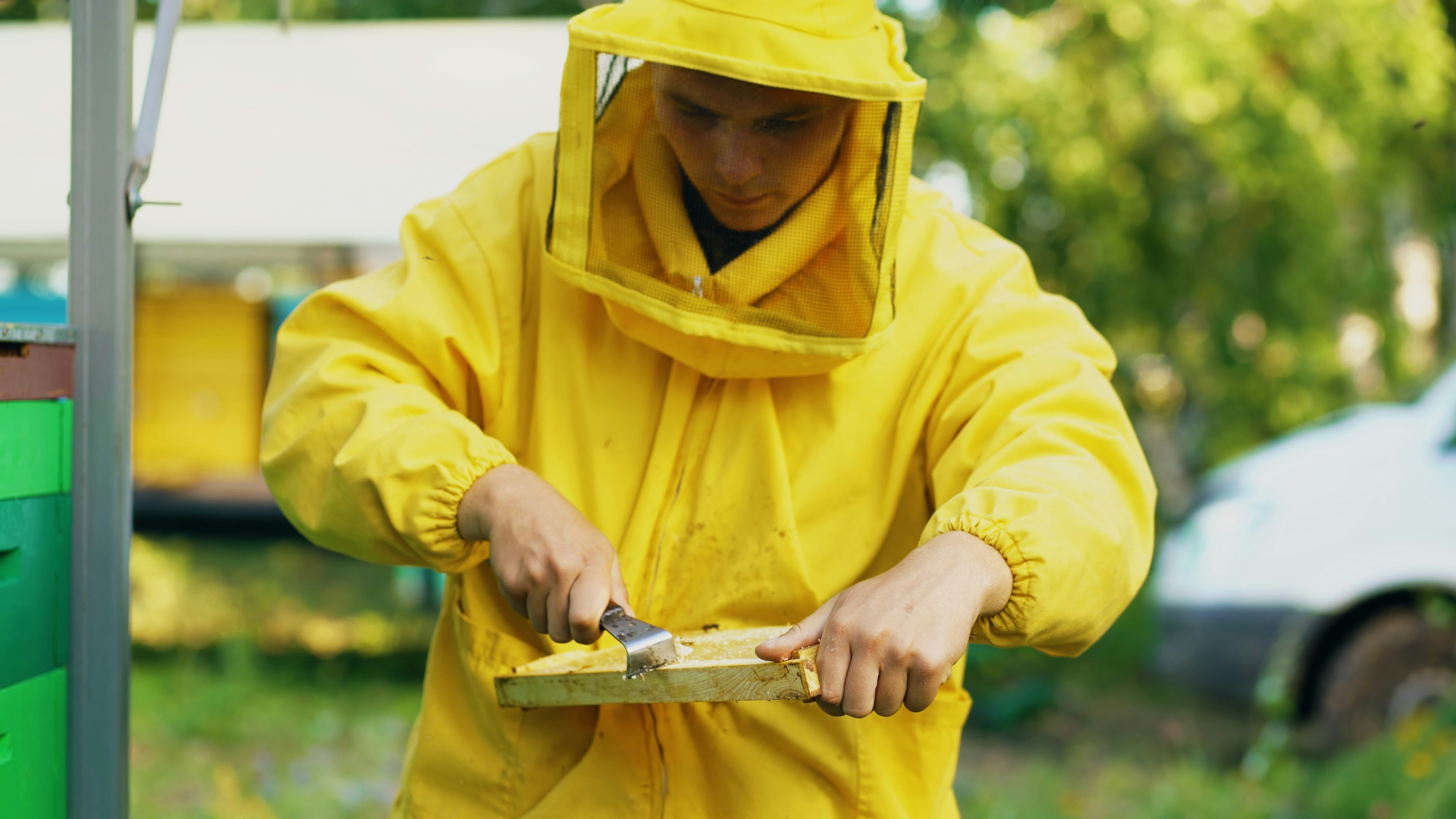 Beekeeper man clean wooden honey frame working in the apiary on summer sunny day