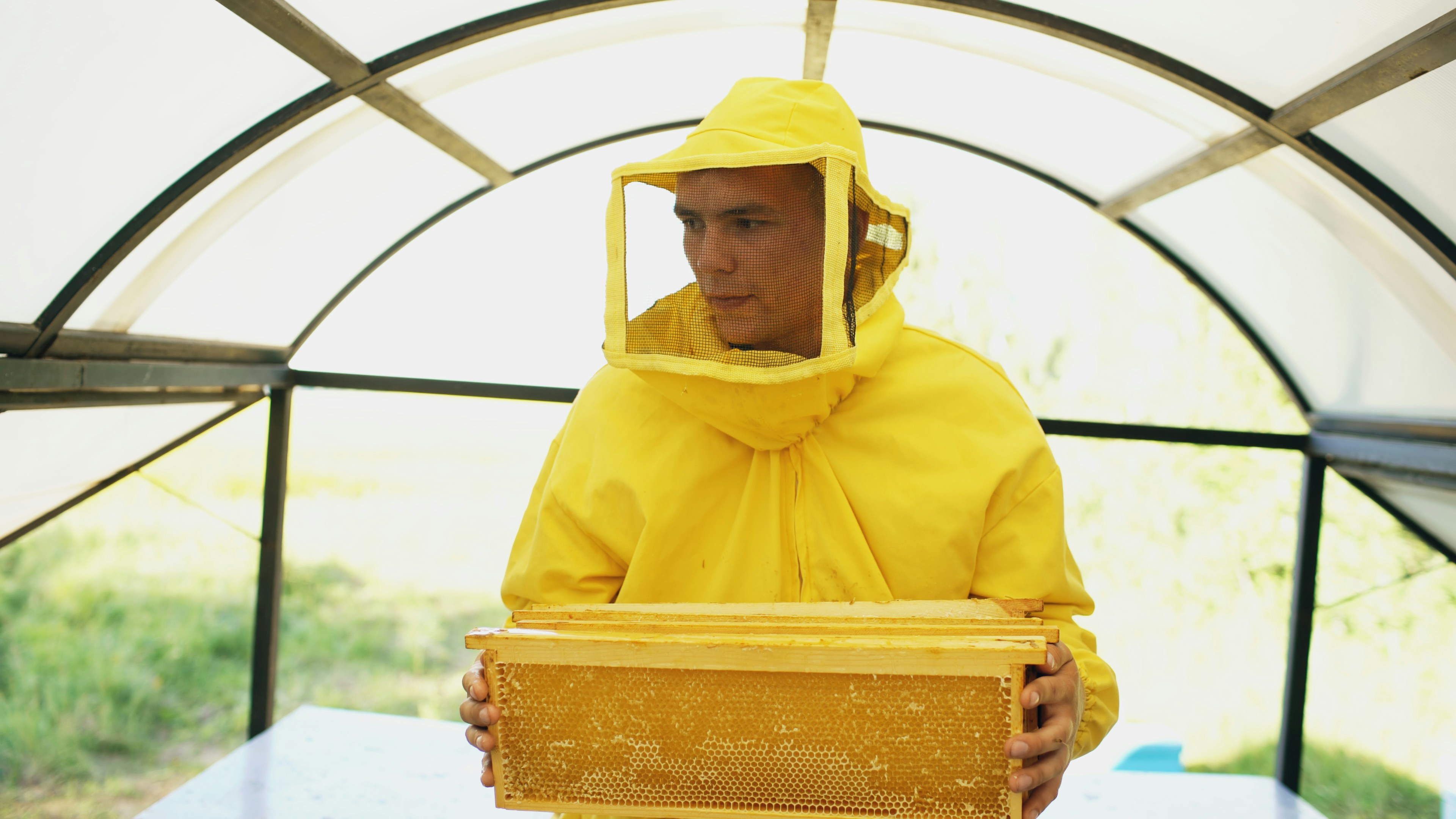 Beekeeper in protective suit holding honeycomb frame