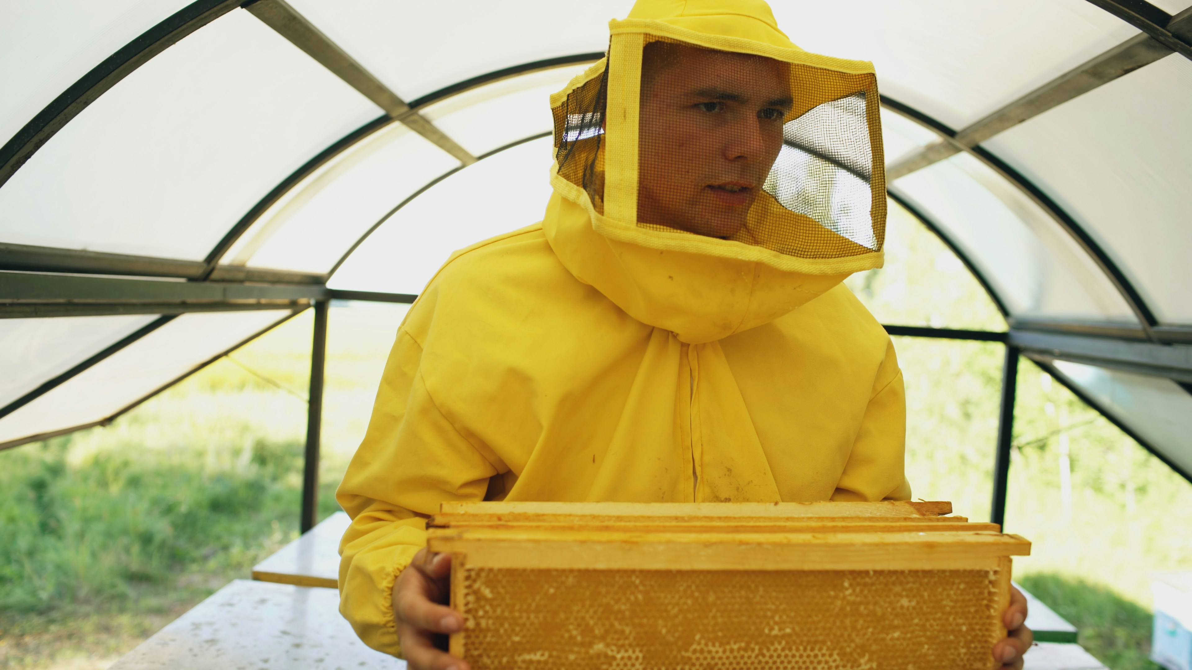 beekeeper man walking with wooden frames working in apiary on summer sunny day