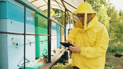 Beekeeper in protective suit using tablet near beehives