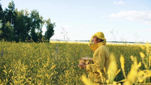 Beekeeper in yellow suit holding hive in field.