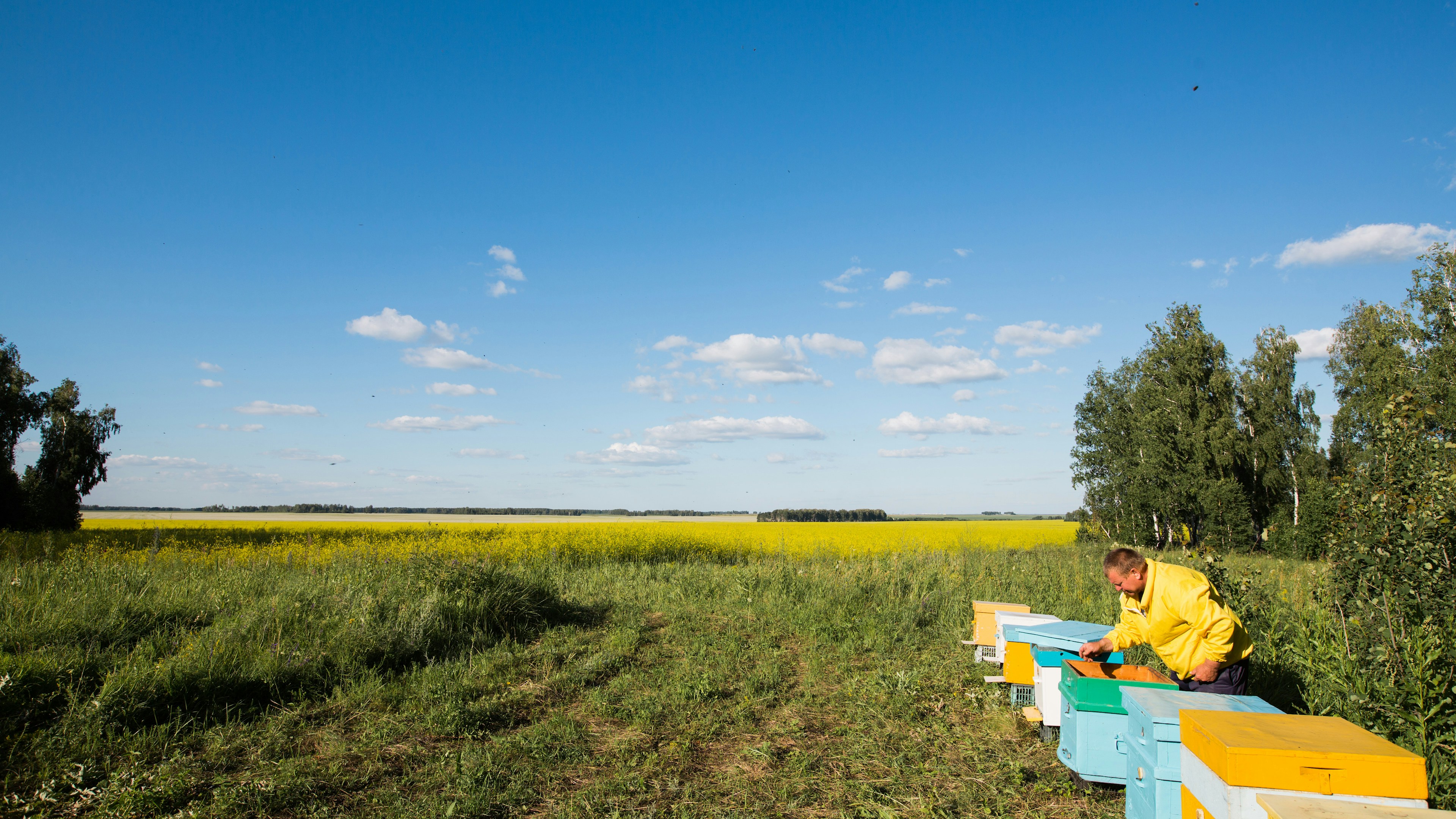 Certified Organic Isn't the Same as Healing: The Hard Truth About Farm Regeneration