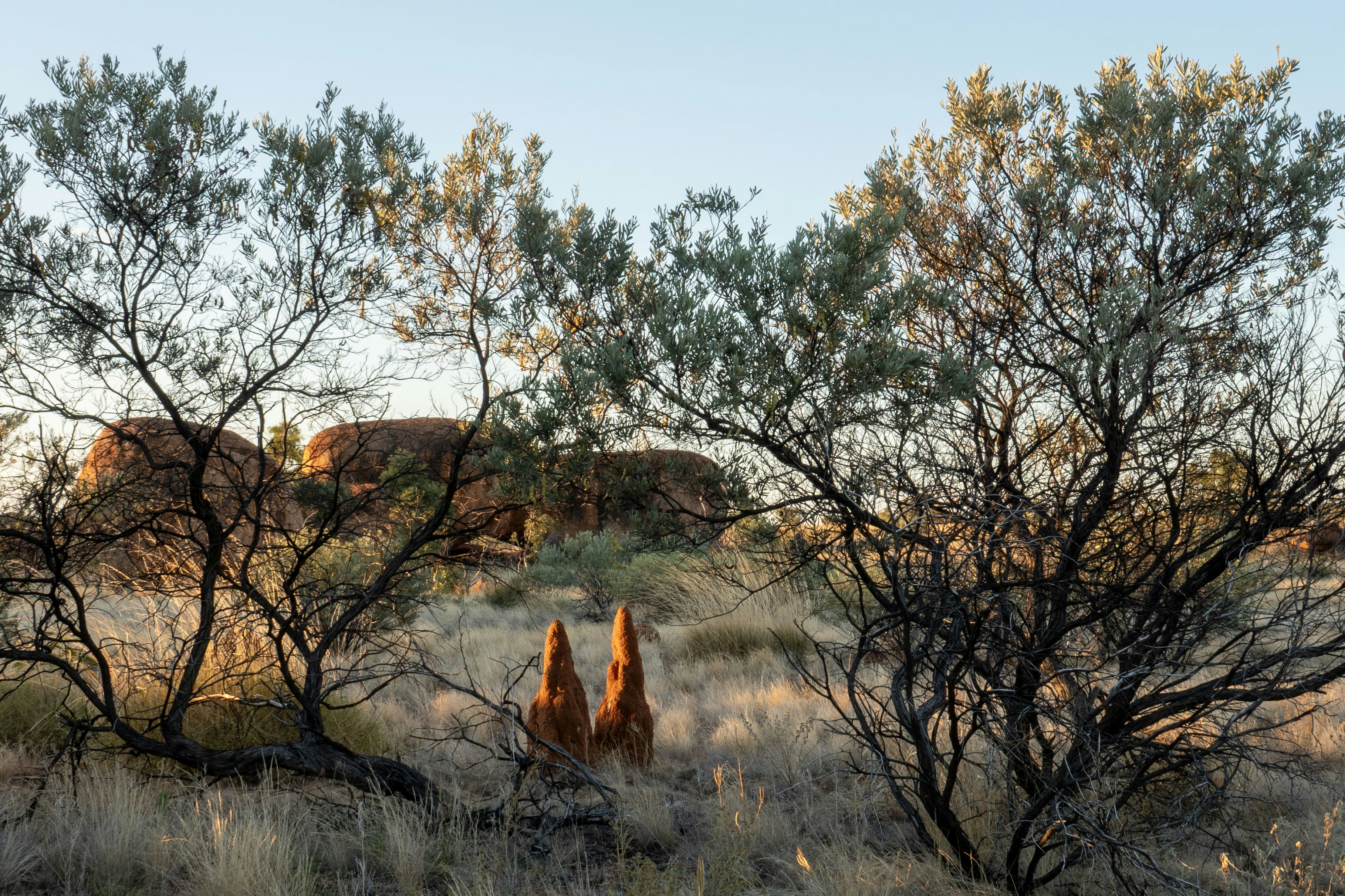 Les chercheurs australiens ouvrent la voie à la coexistence quantique