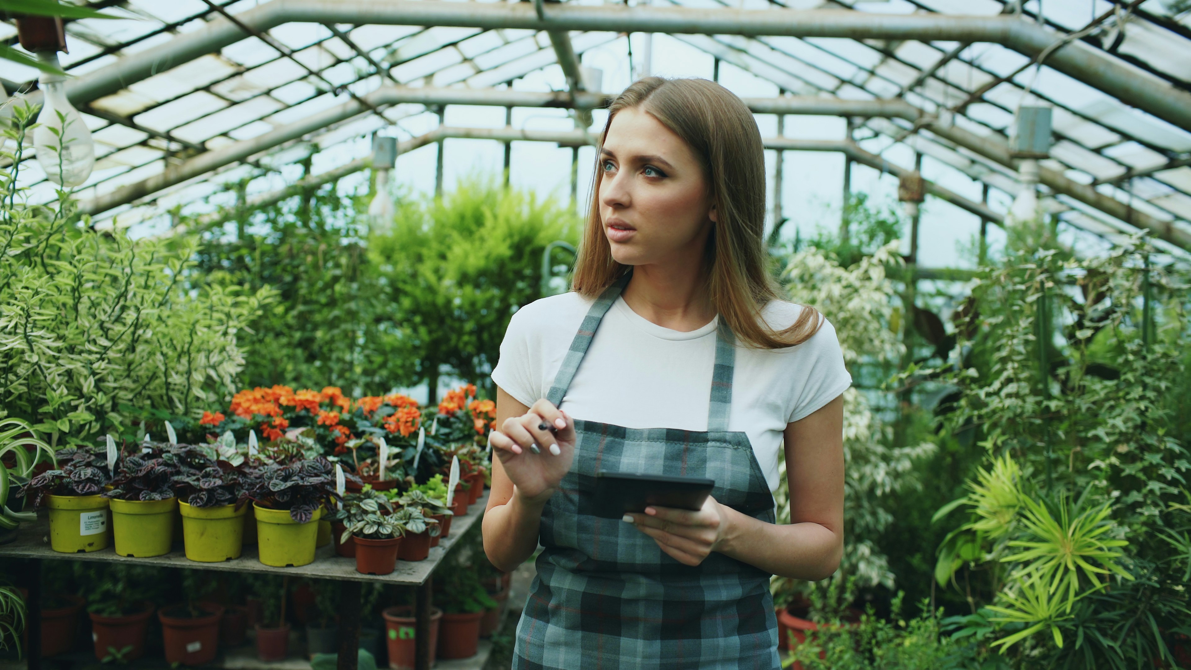 Woman working in a greenhouse surrounded by plants