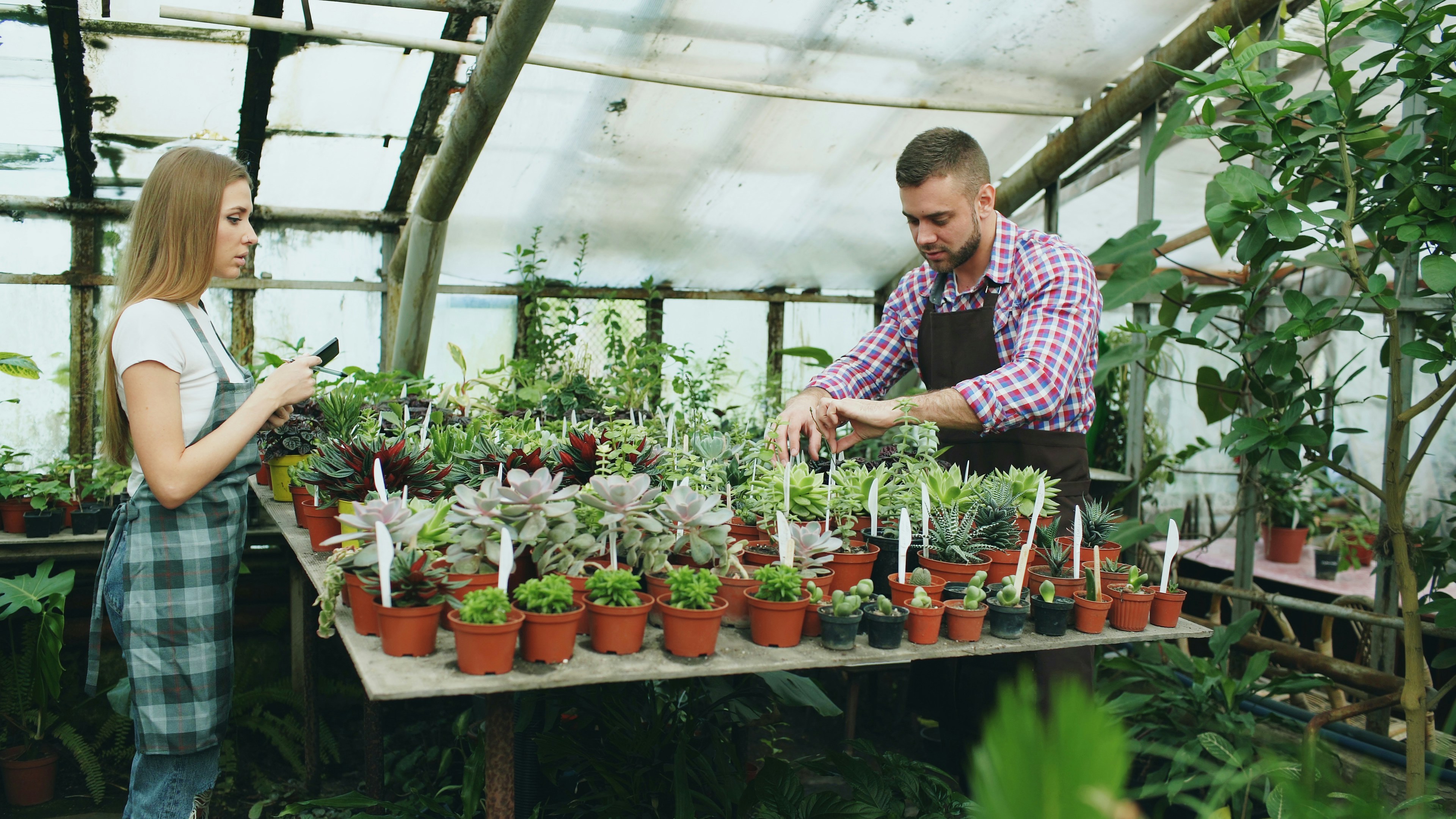 Man and woman tending plants in a greenhouse.