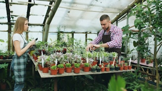 Man and woman tending plants in a greenhouse.