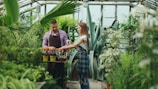 Man and woman tending plants in a greenhouse.