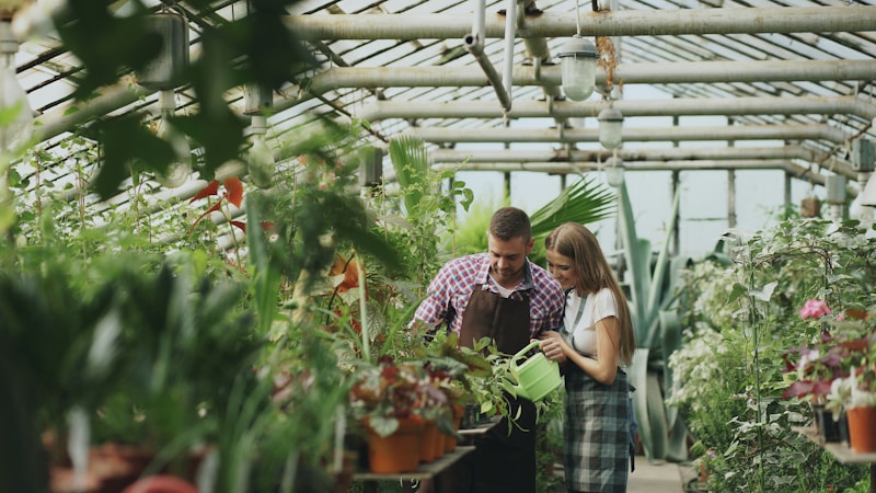 Couple watering plants together