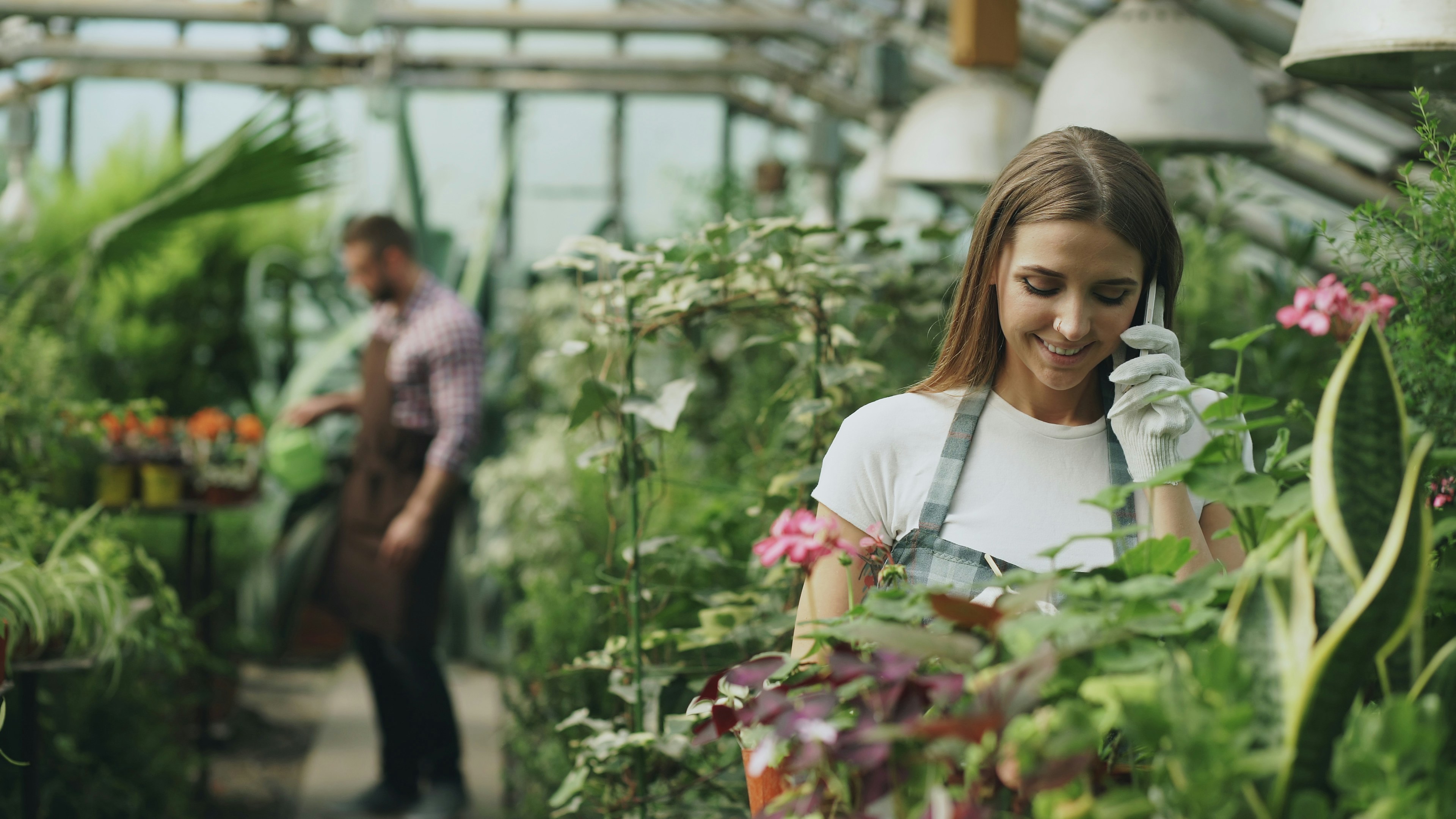 Woman gardening in greenhouse