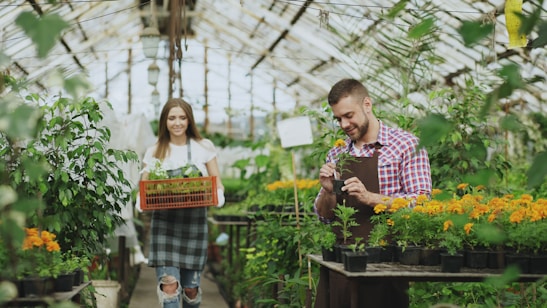 Two people working in a greenhouse with plants