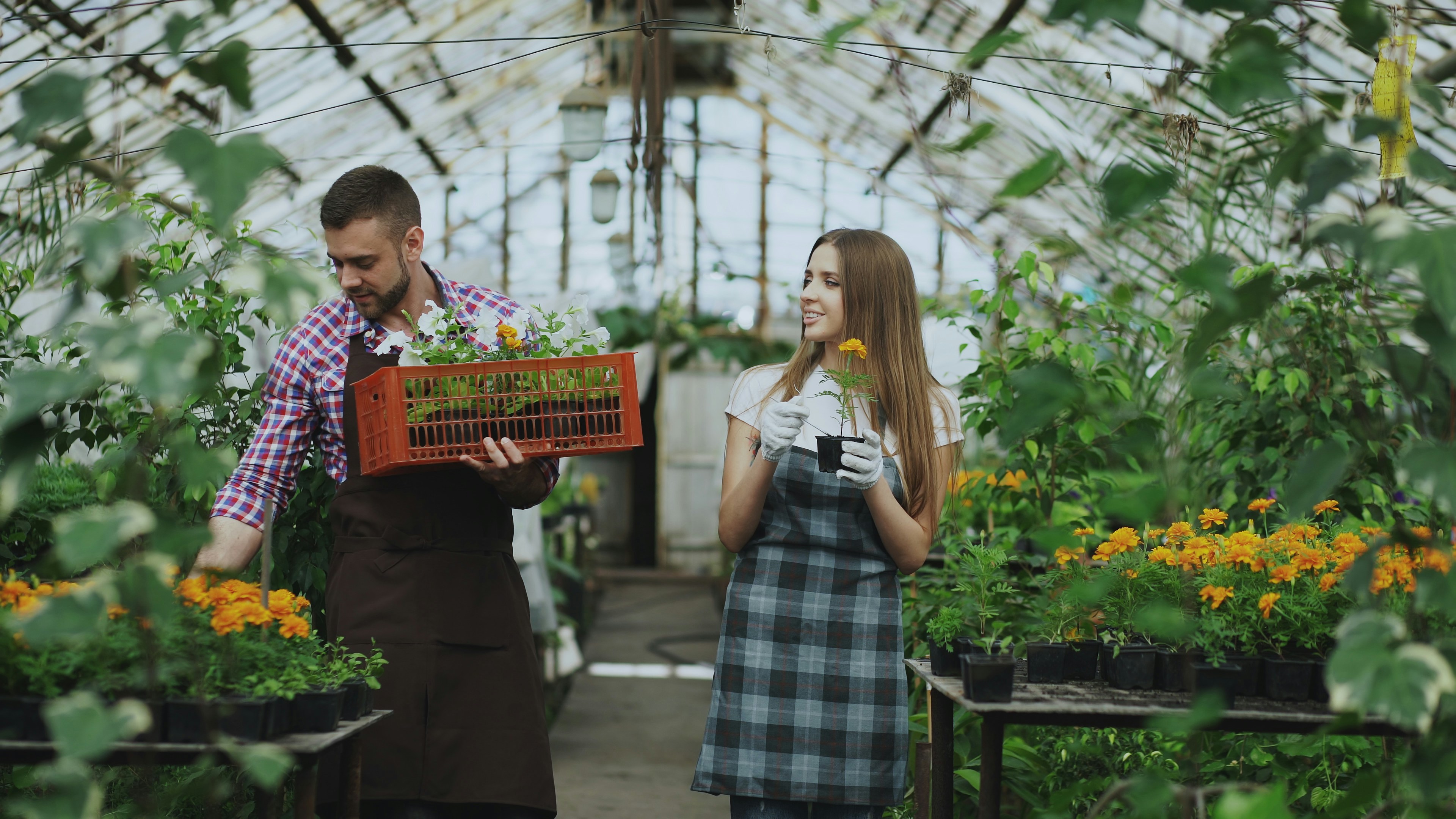 Photo by silverkblack