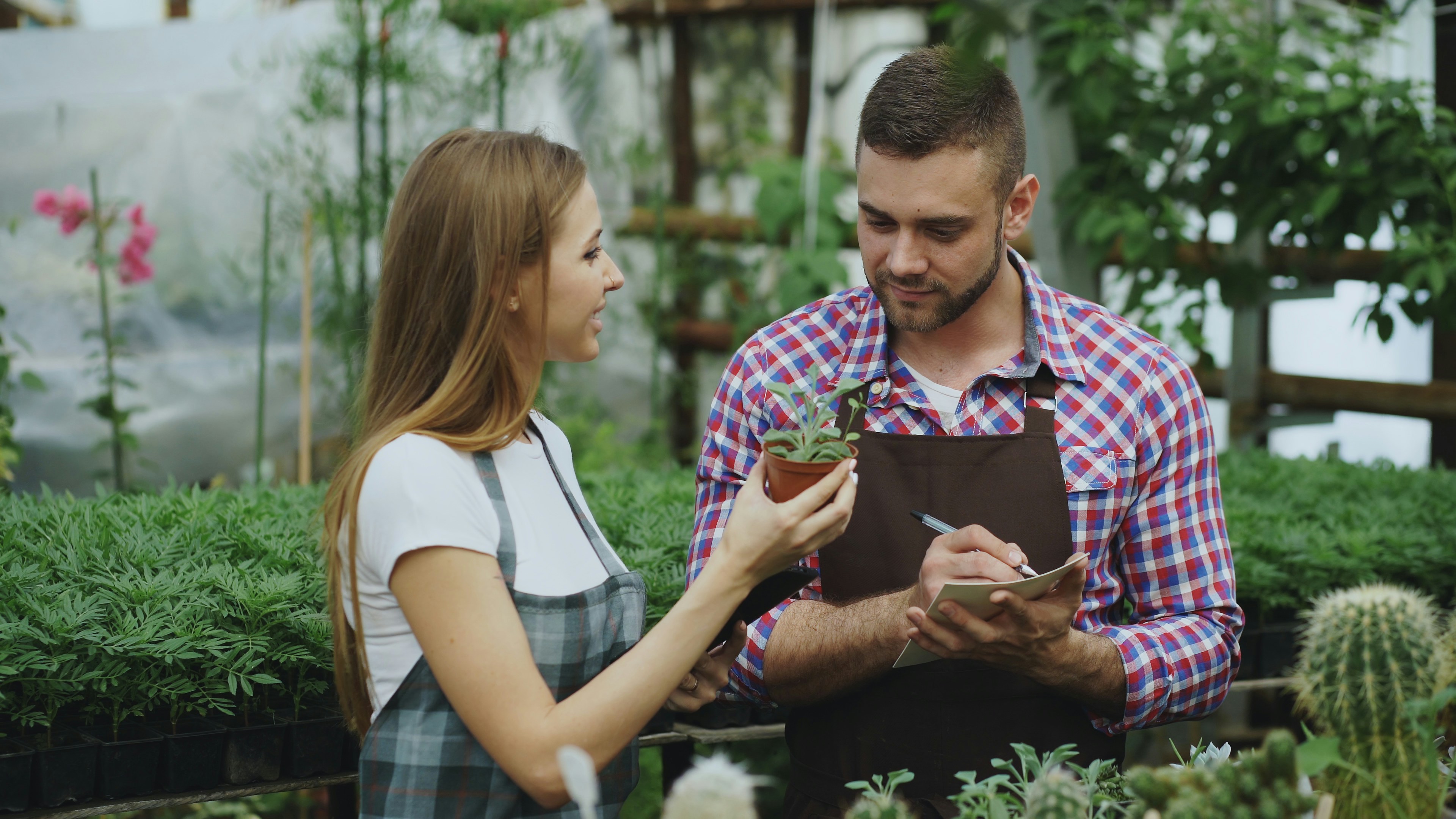 Young couple florists work in garden center