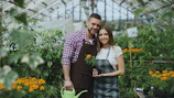 Couple tending plants in a greenhouse together
