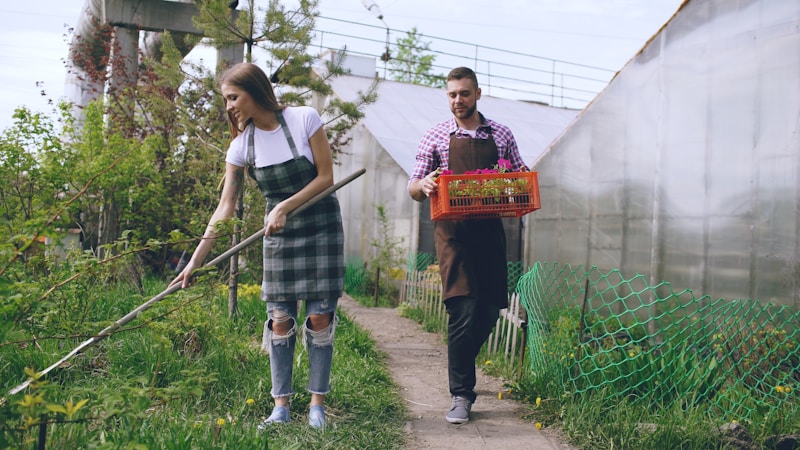 Partners tending plants outdoors