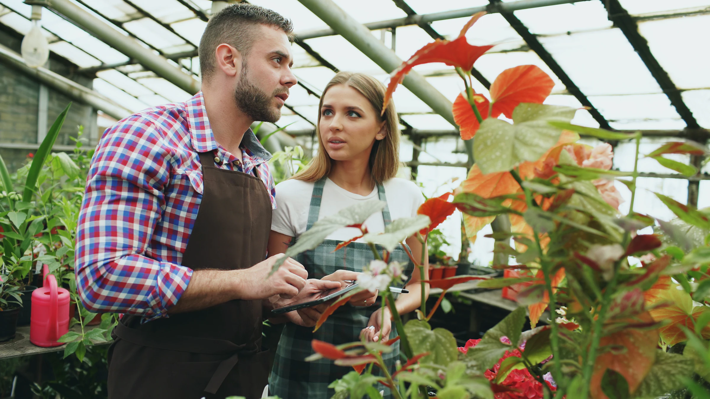 Two people examining plants in a greenhouse