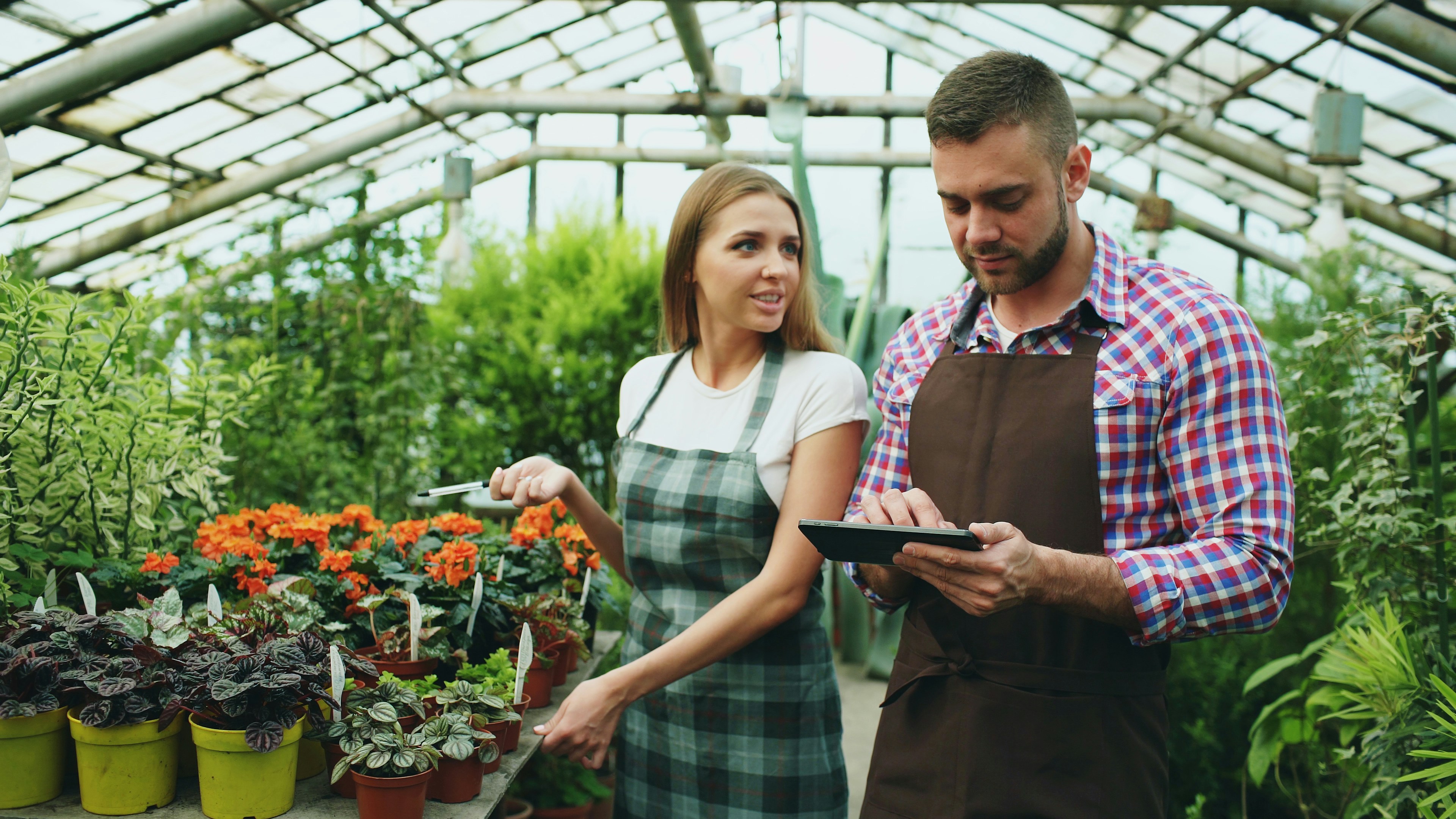 The Evolution of Knowledge Operations in 2026: Trust, Validation, and Edge-First Playbooks