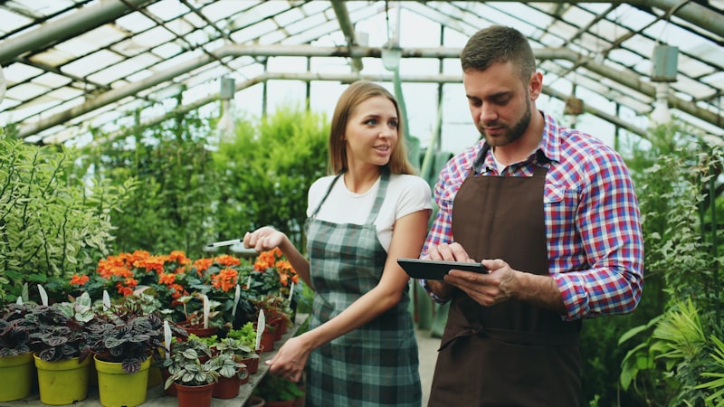 Gardeners maintaining plants in a nursery