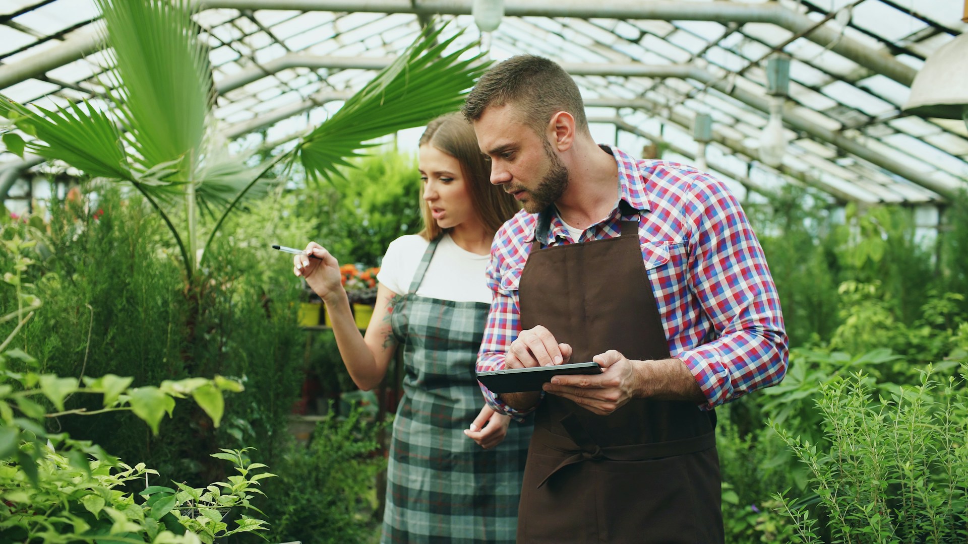 Two people working in a greenhouse with plants.
