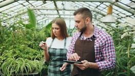 Two people examining plants in a greenhouse