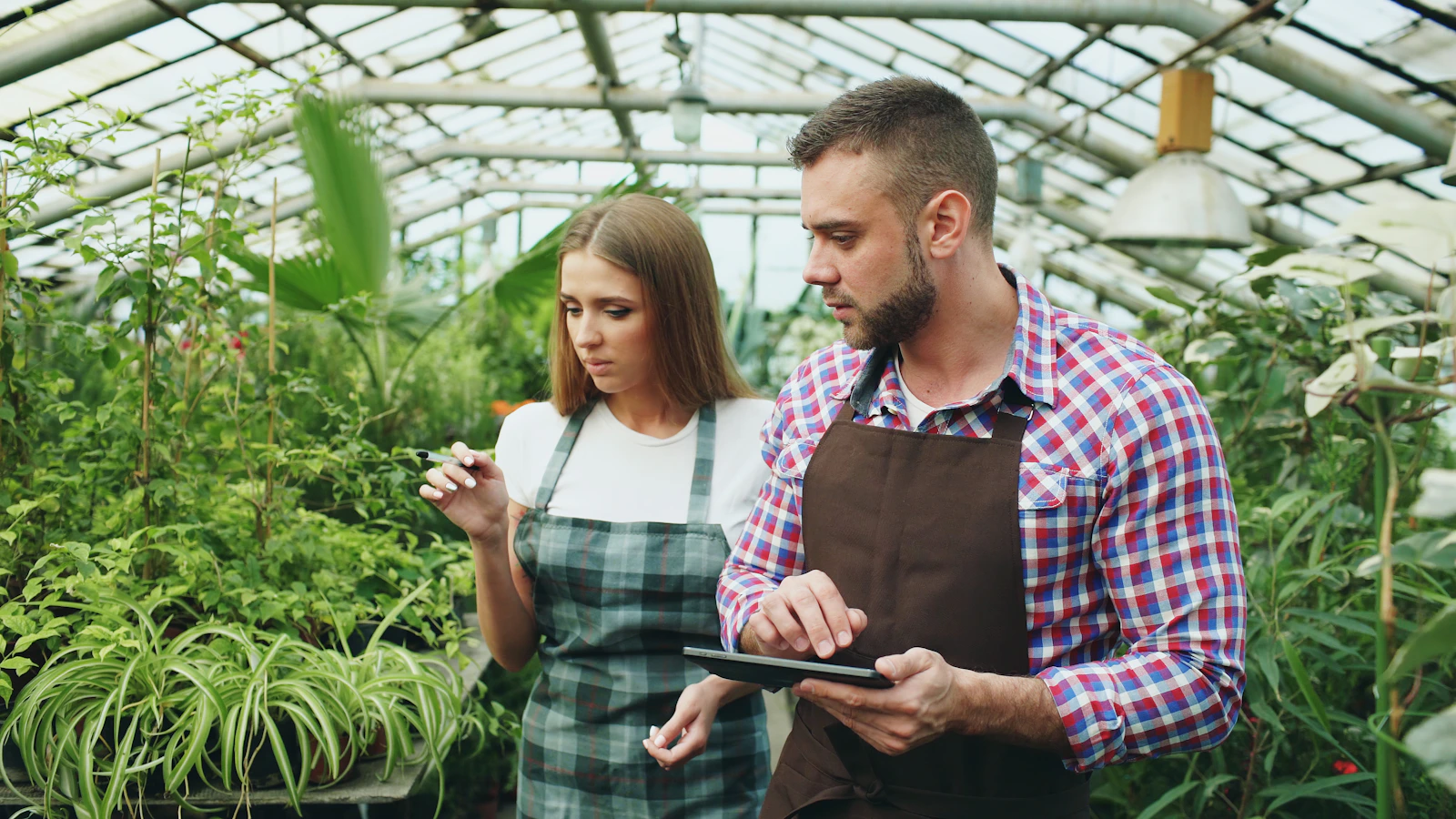 From greenhouse to boardroom