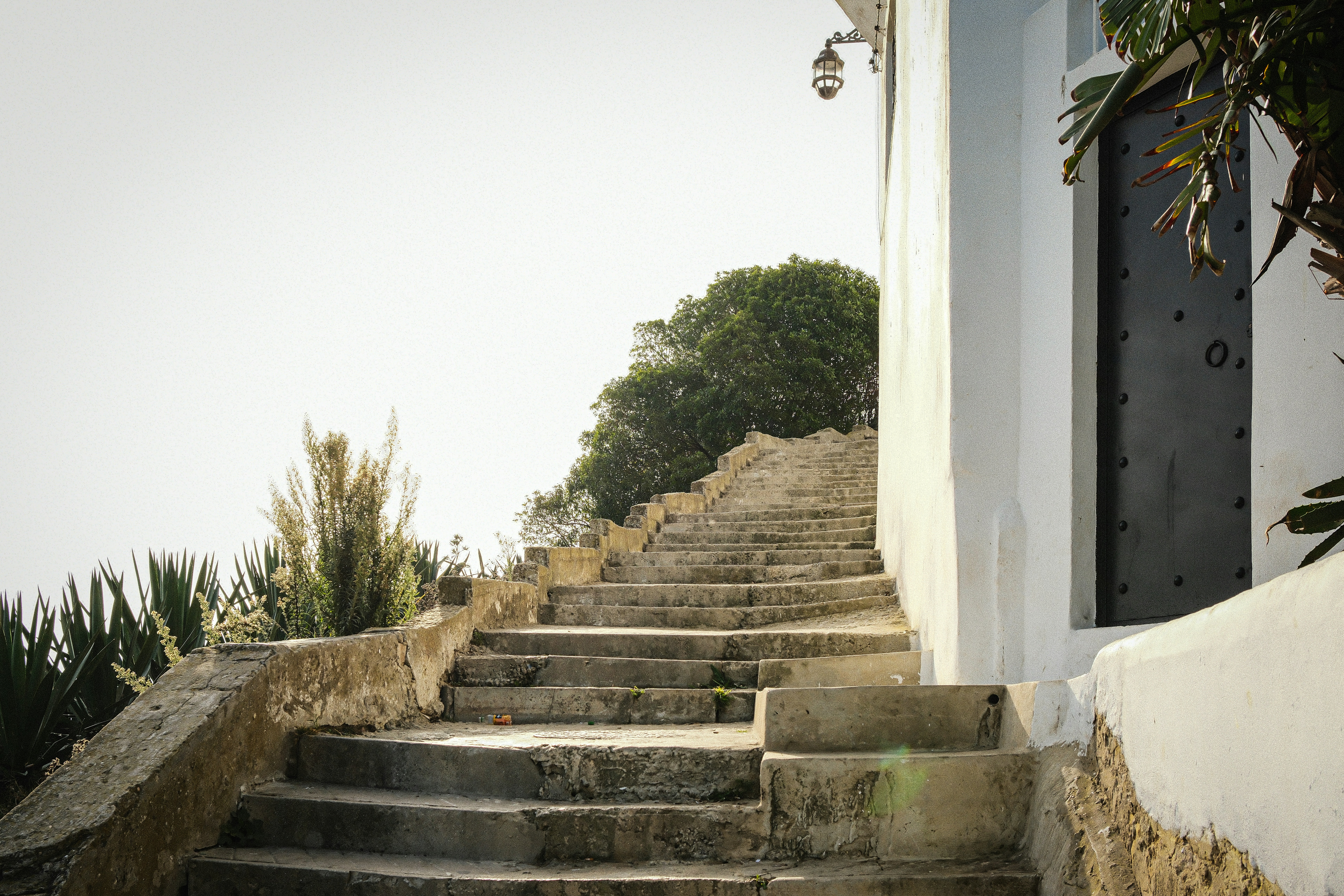 Давні кам'яні сходи в медині Танжер, Марокко, оточені білосніжними стінами та рослинами.